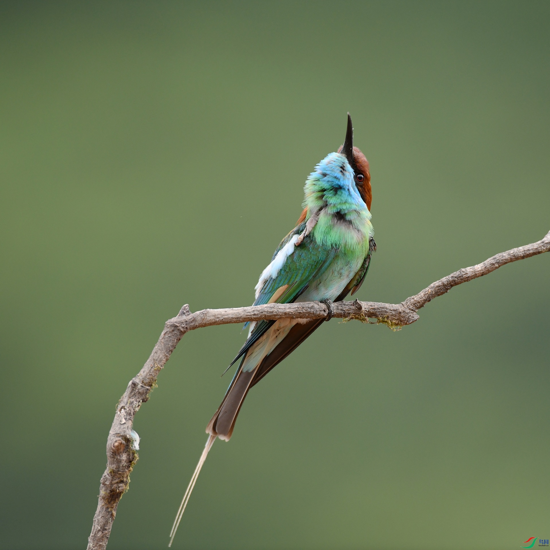 DSC_1117.jpg