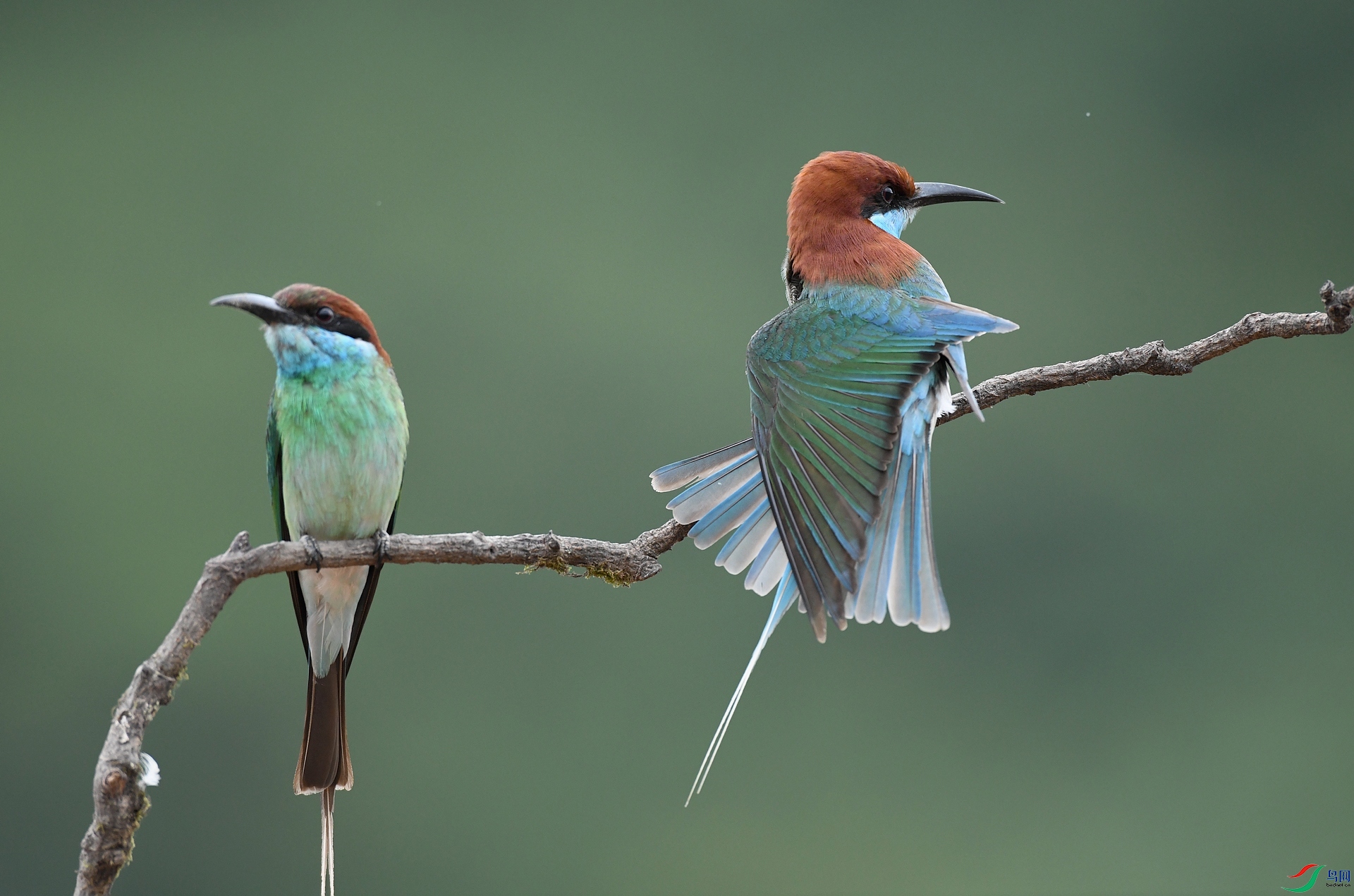 DSC_1373.jpg