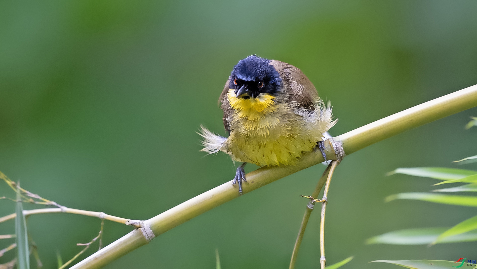 DSC_8815 ����.jpg