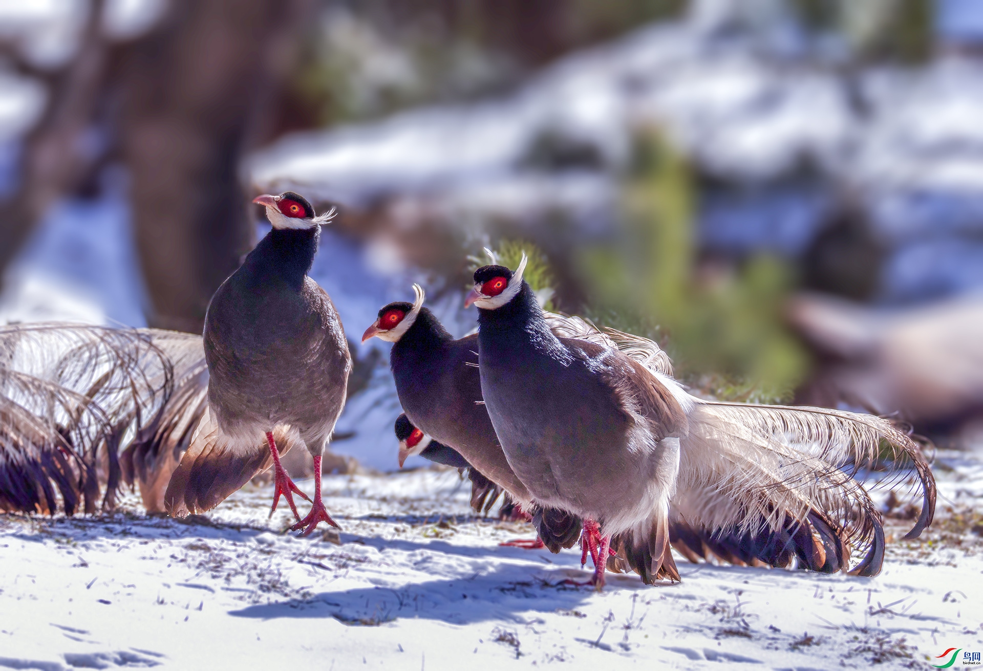 _07A7700 ����----1 .jpg