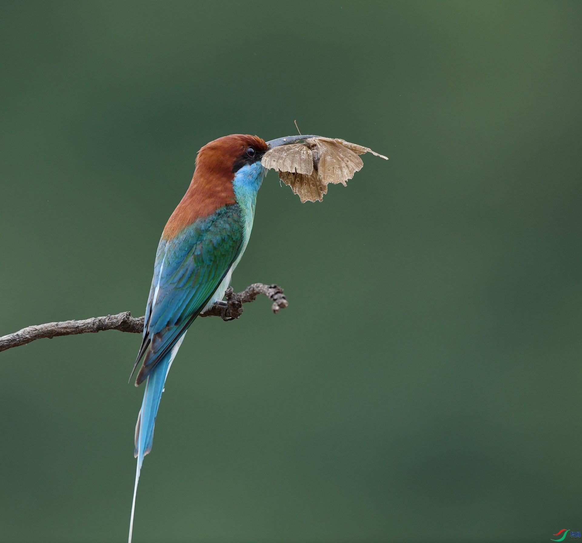 DSC_1761.jpg