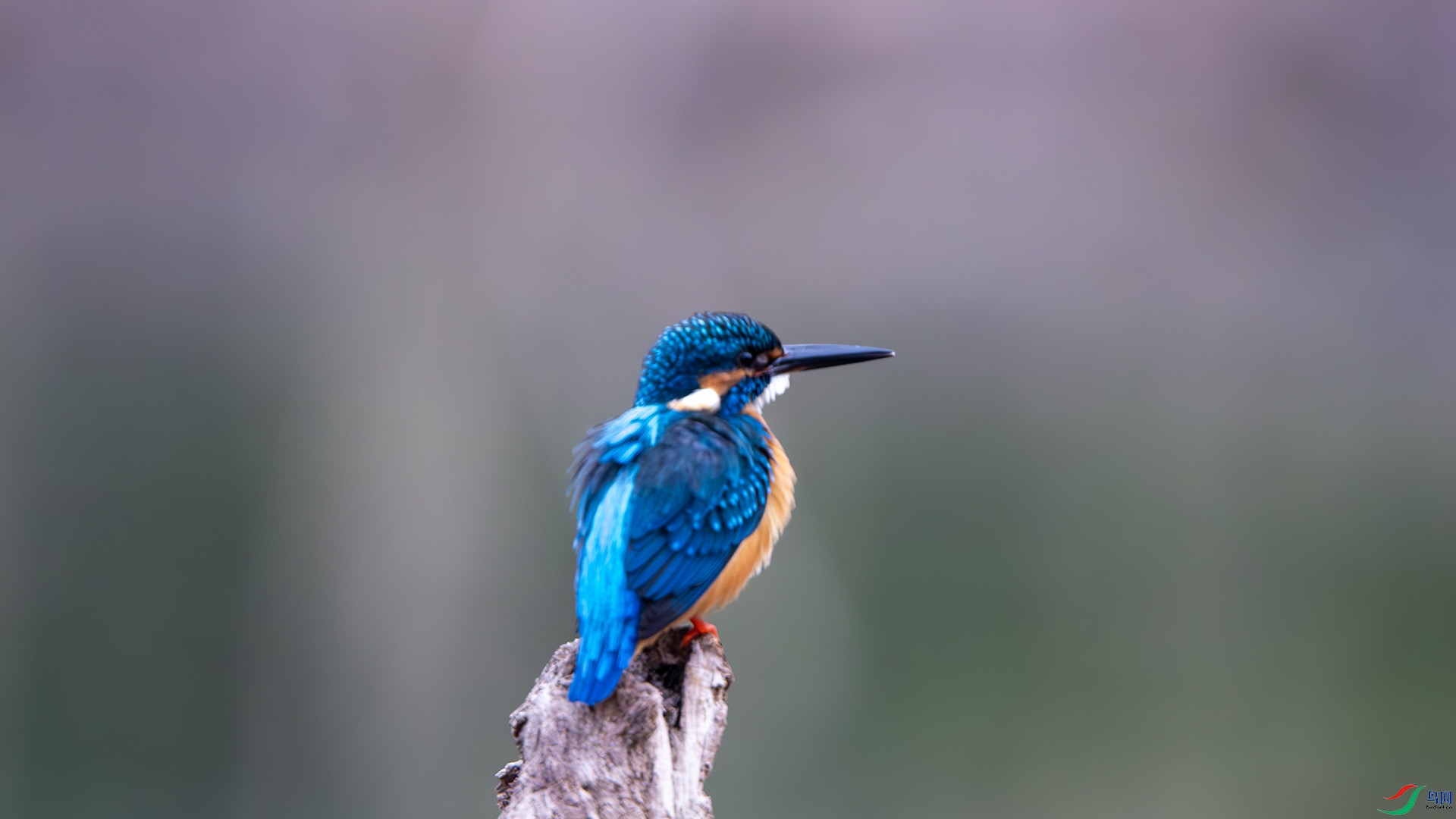 DSC_6442.jpg