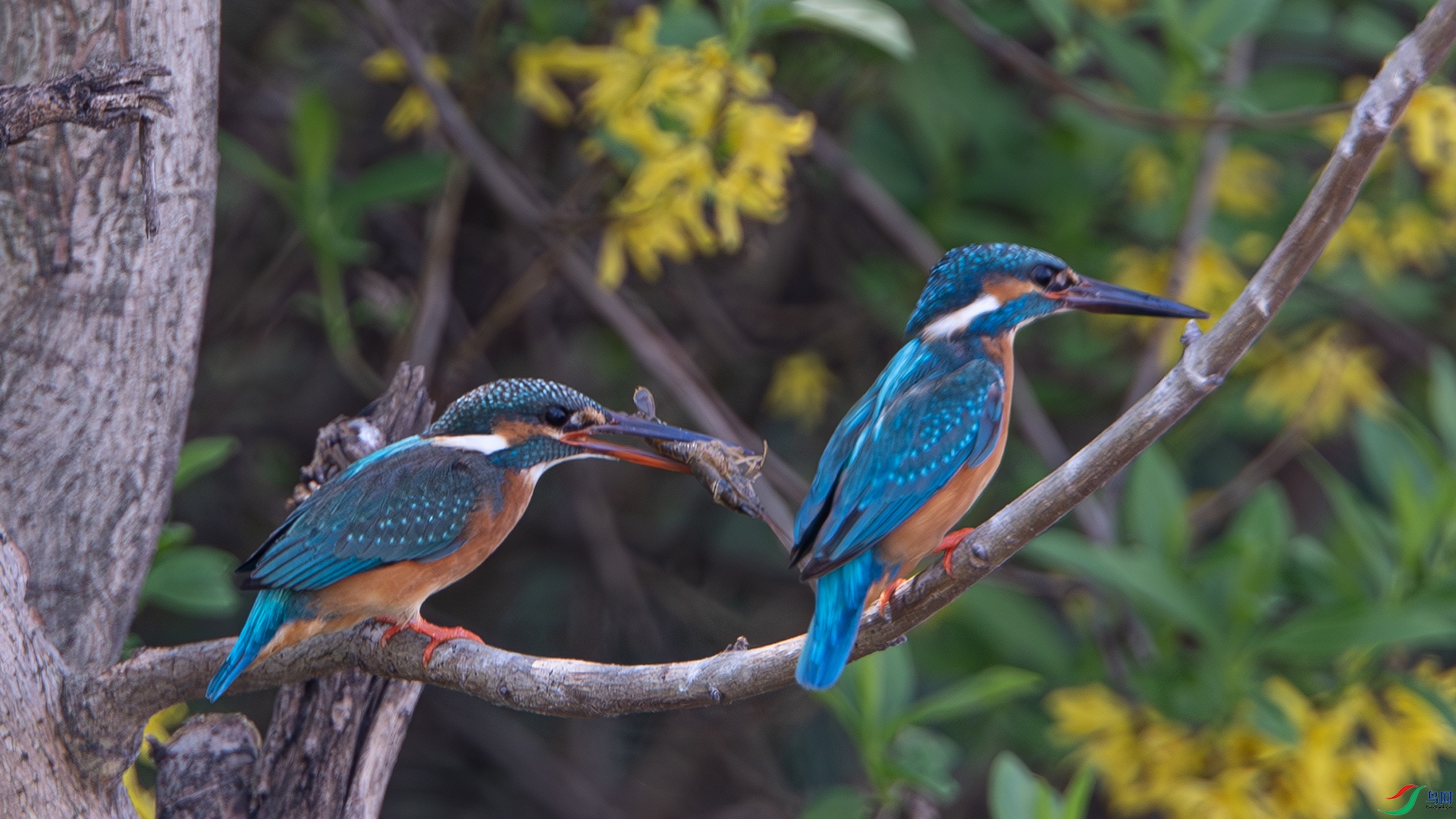 DSC_8447-����ǿ-NR ����.jpg