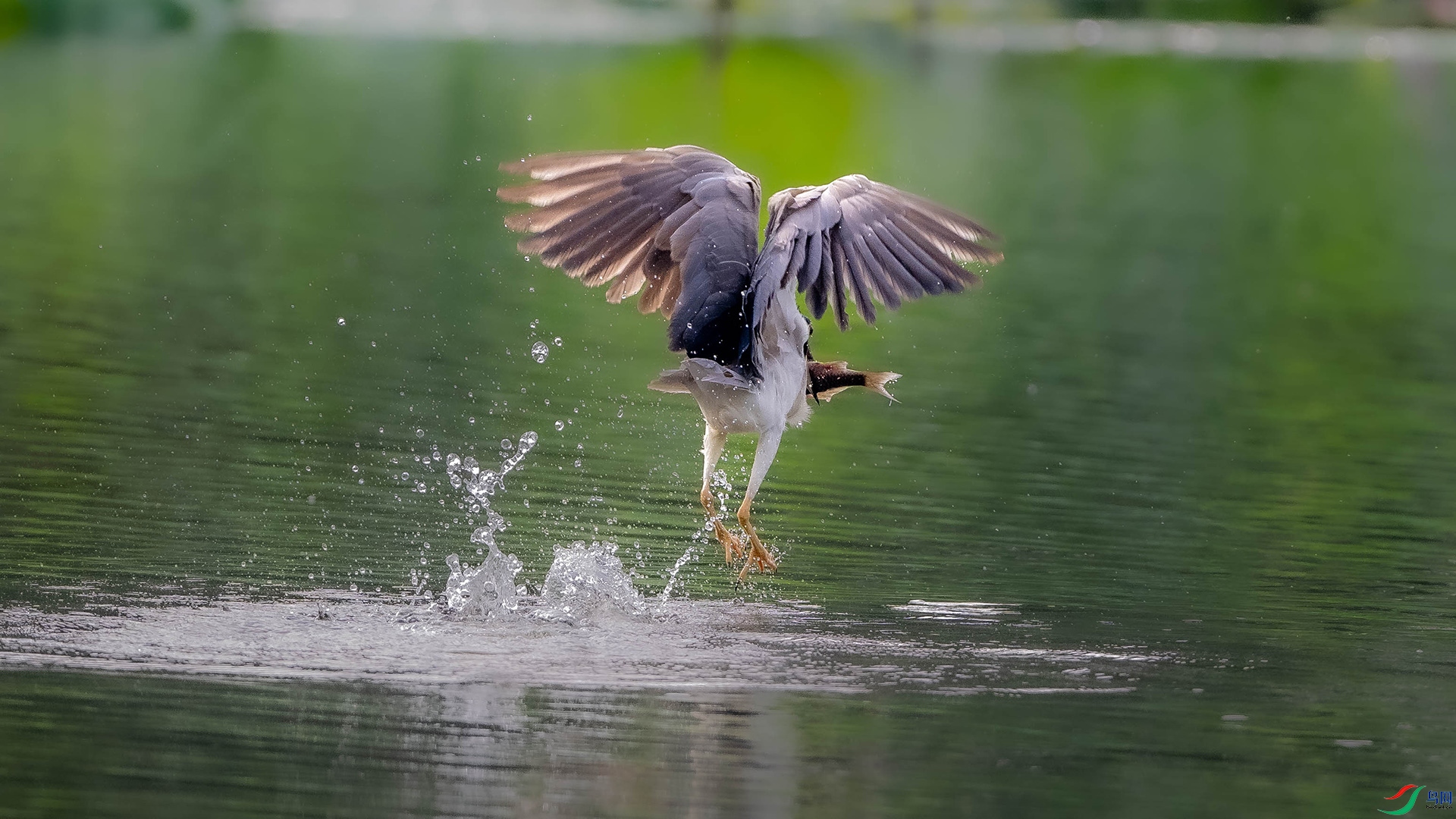 DSC_0735.jpg