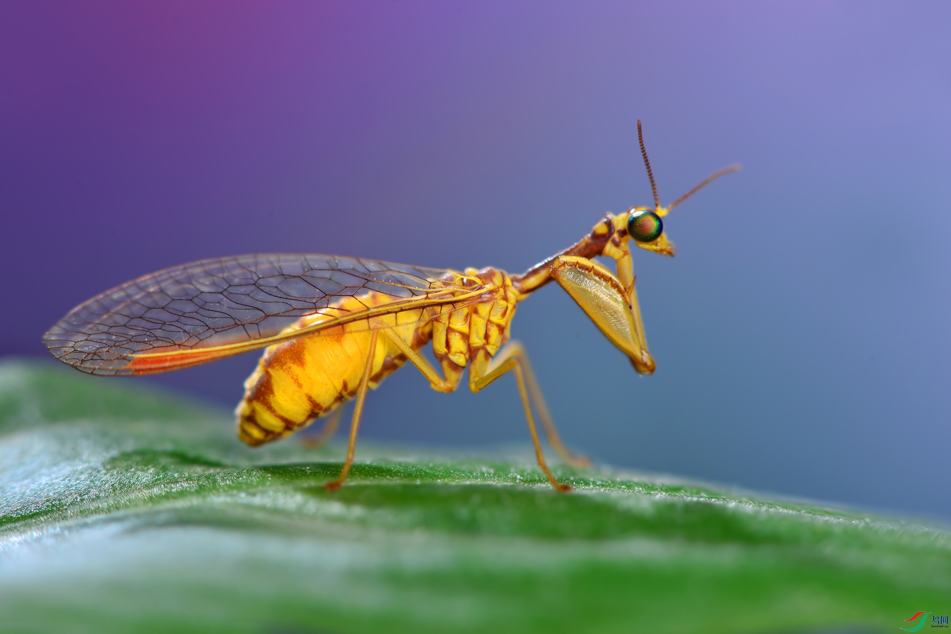 DSC_3011 ����.jpg