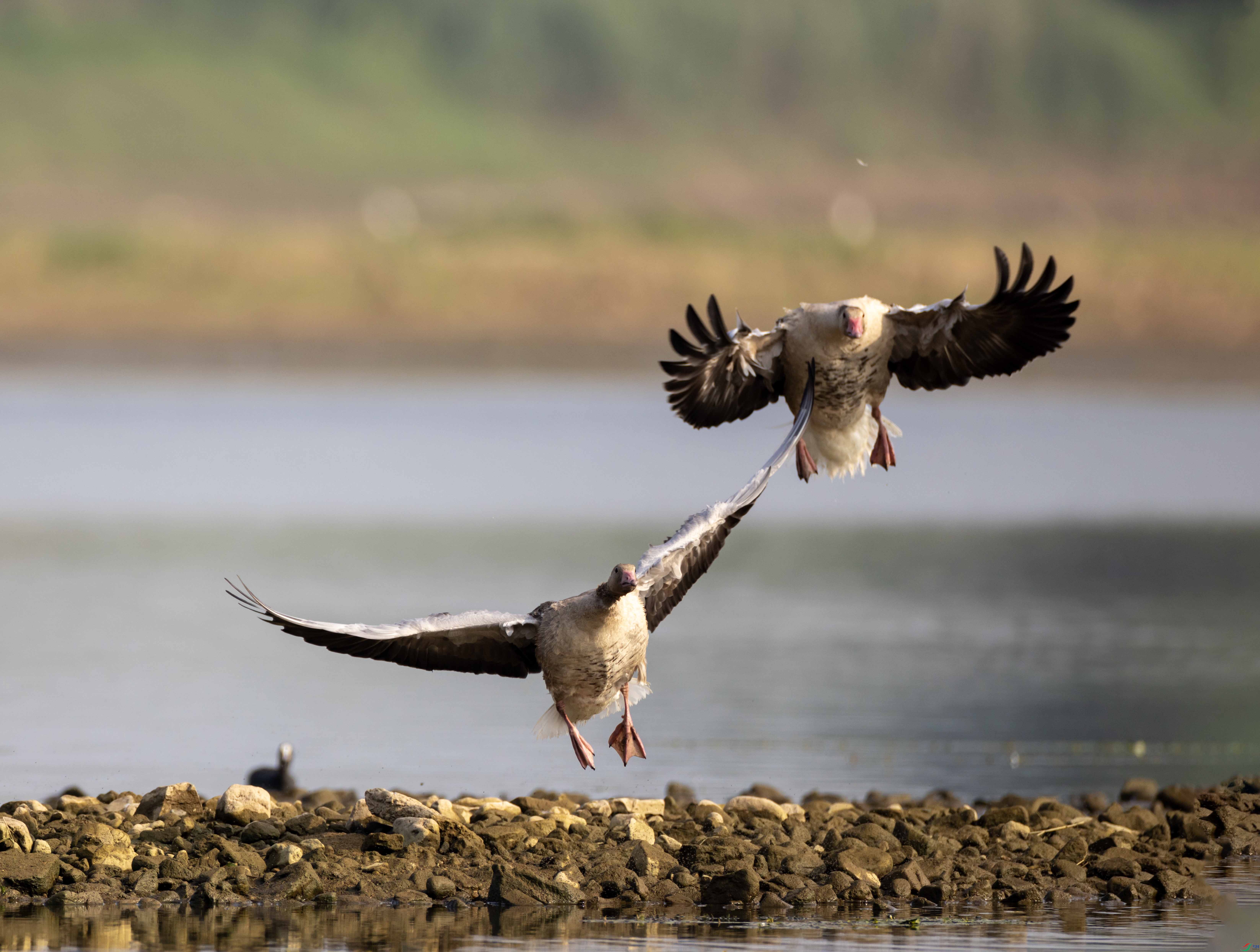 1-xt4L2A8228 ����.jpg