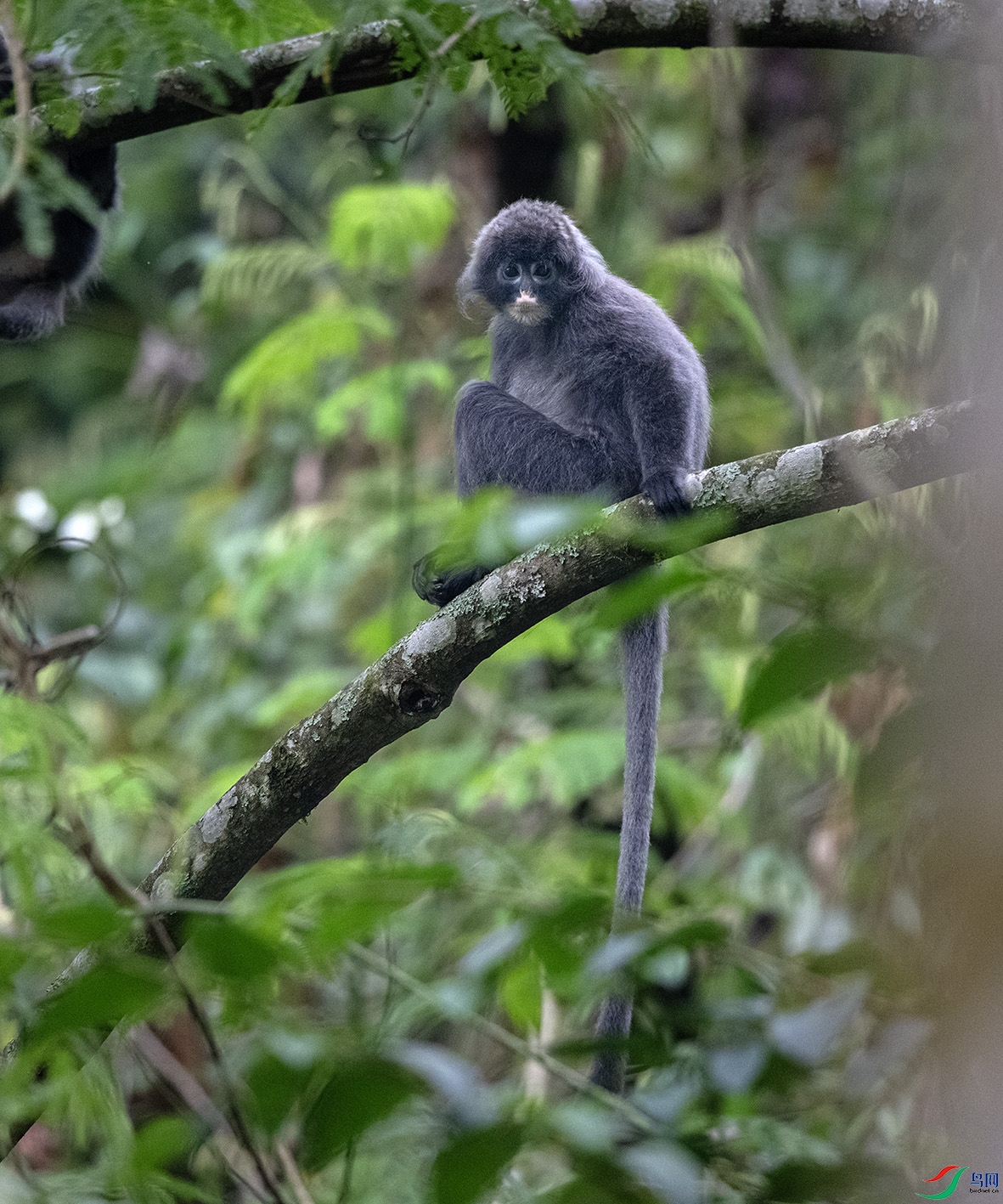 DSC_2001 ����.jpg