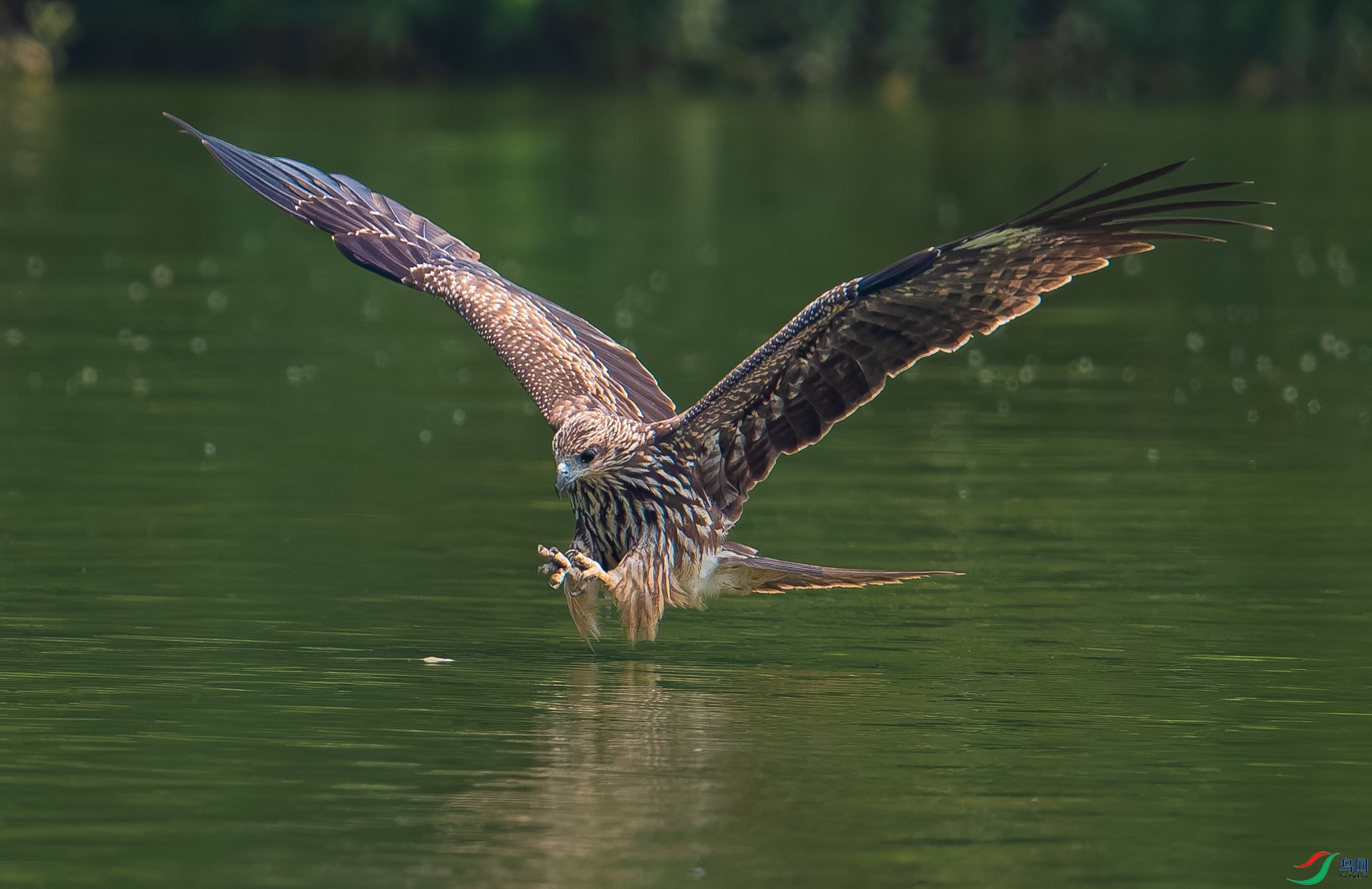 DSC_1407-DxO_DeepPRIME XD2s_XD-2.jpg
