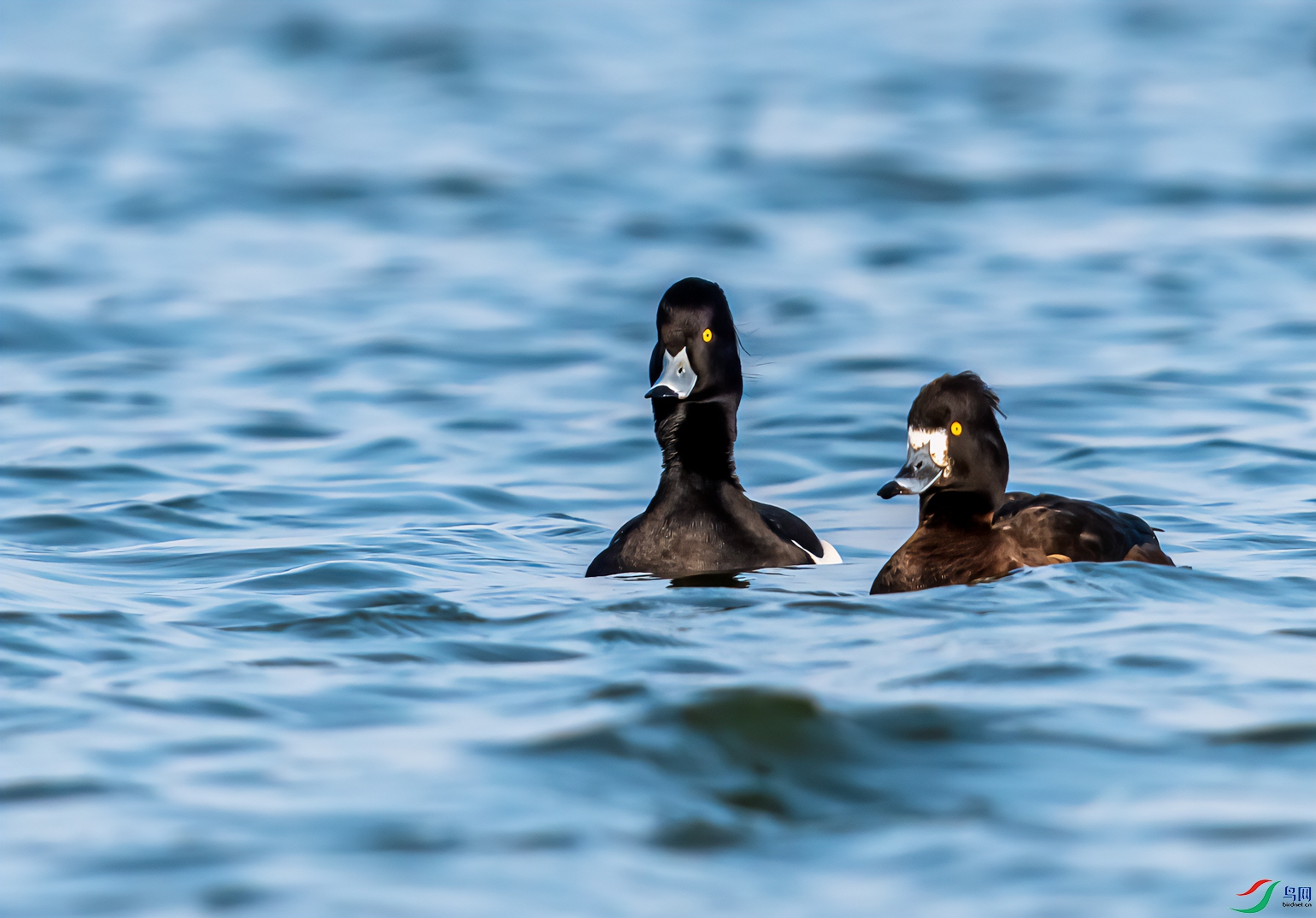 DSC_7710-11.jpg