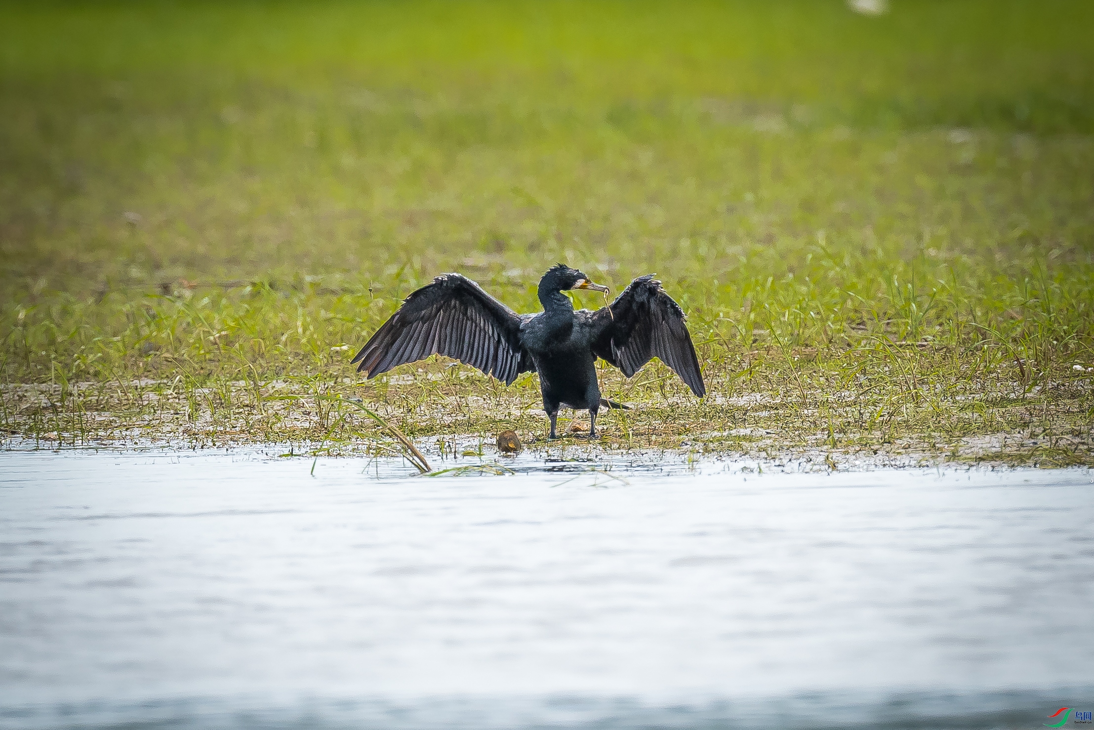 ���ҽ���