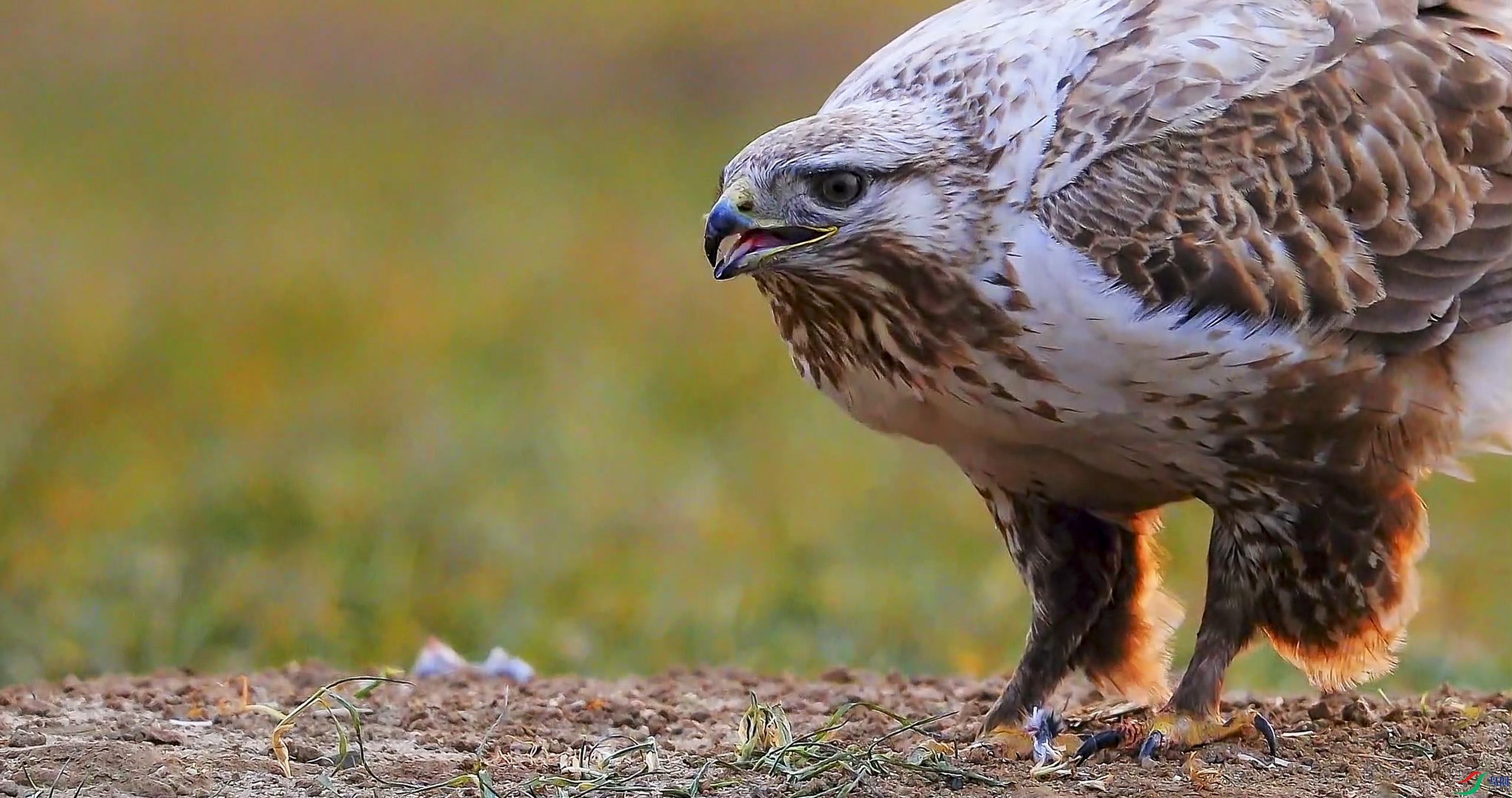 7��30�� (1).jpg