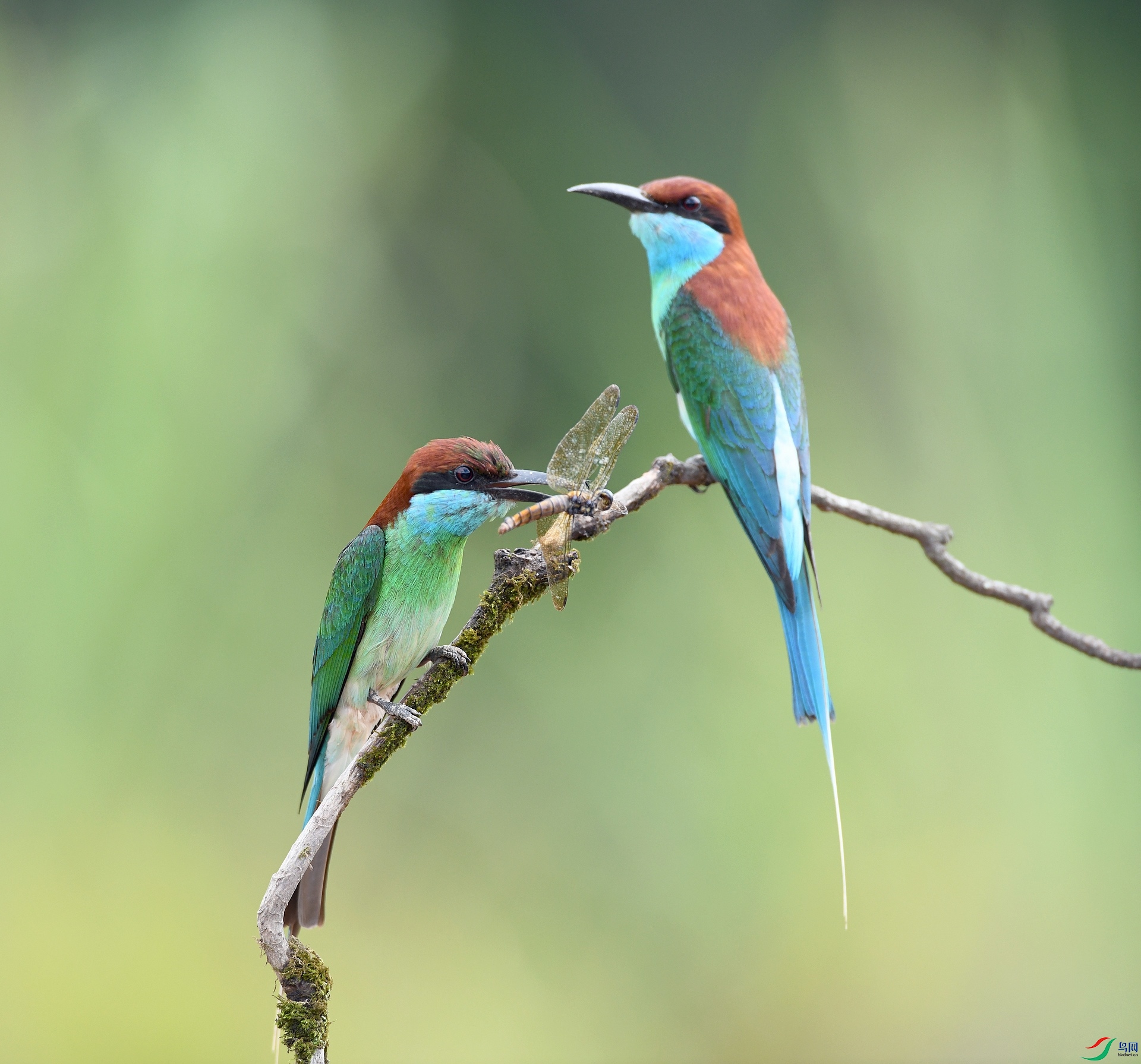 DSC_2086.jpg