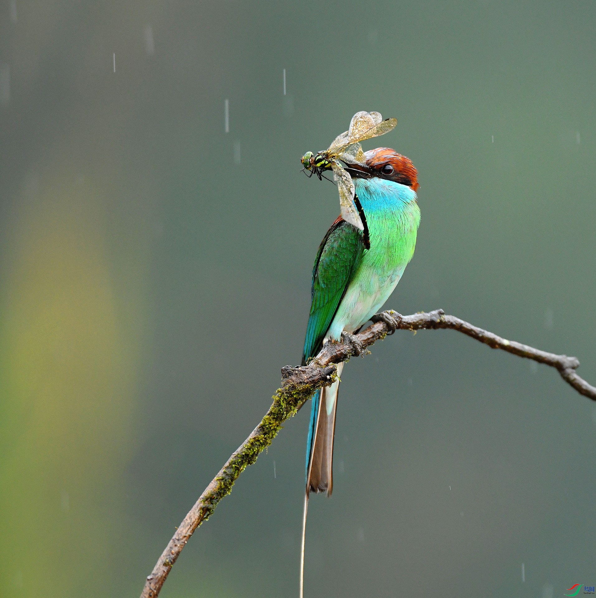 DSC_9304.jpg