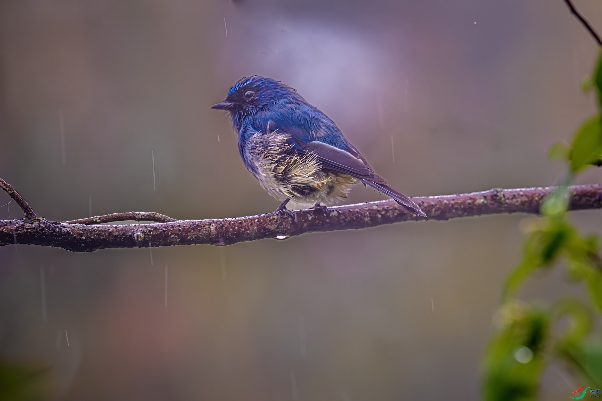 DSC_3697_����.jpg
