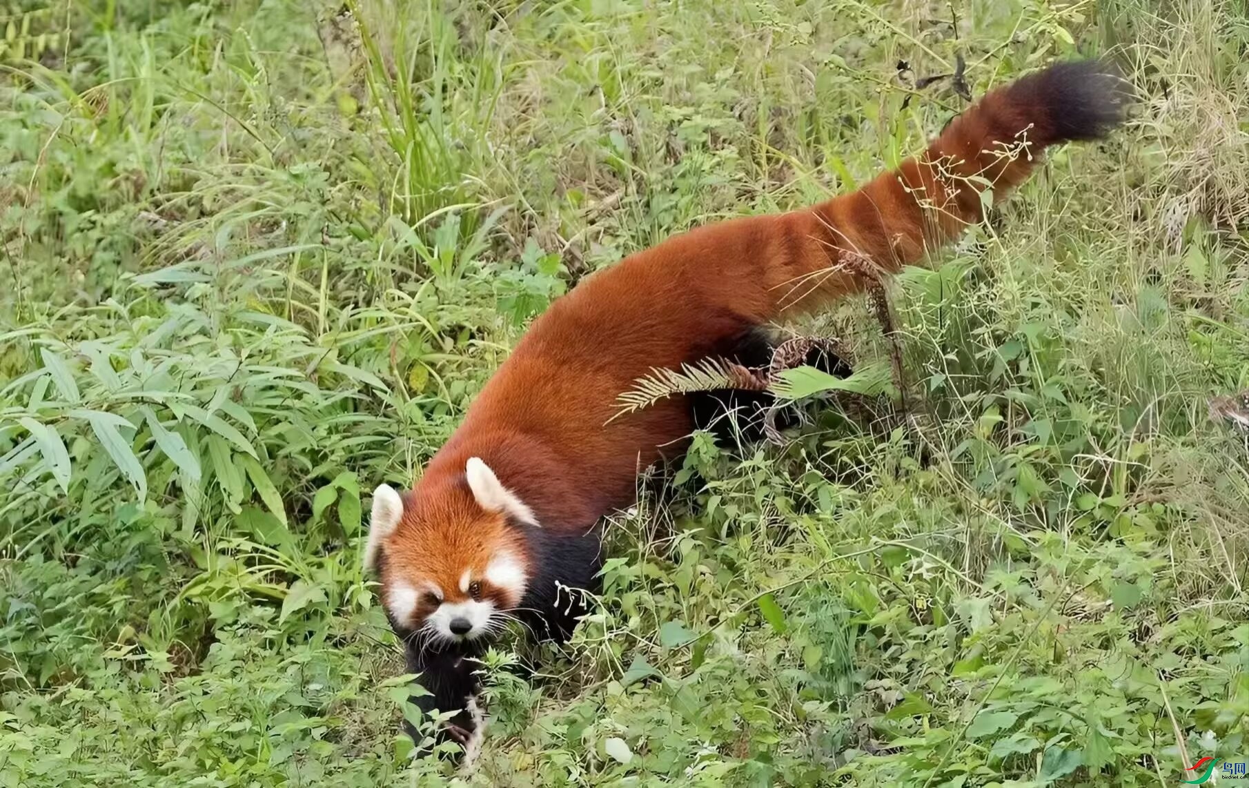 Image_1754467399686.jpg