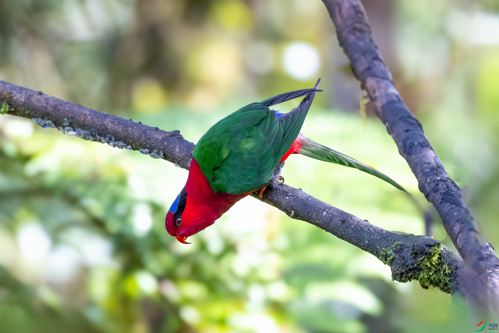 DSC_7603.jpg