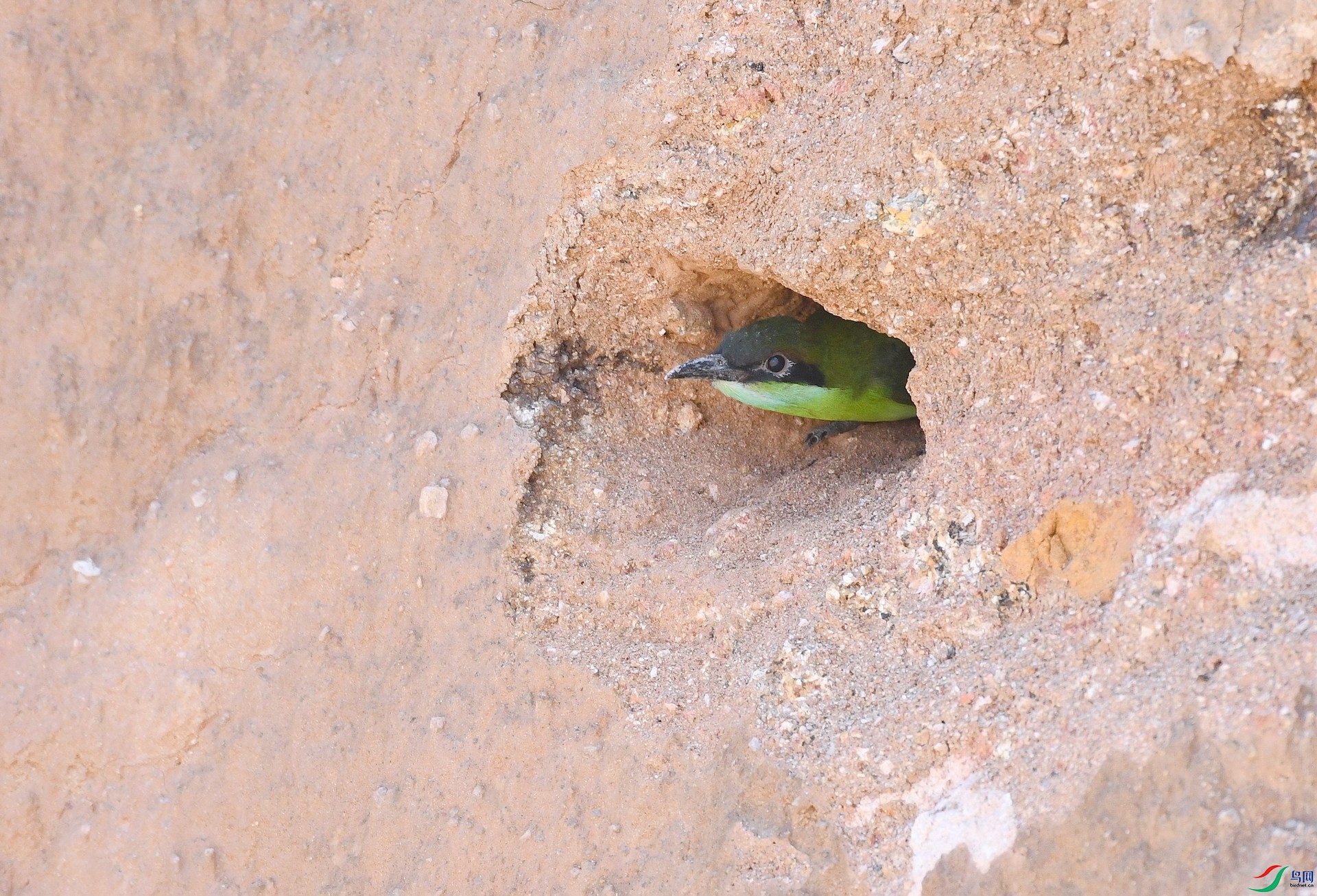 DSC_5453.jpg
