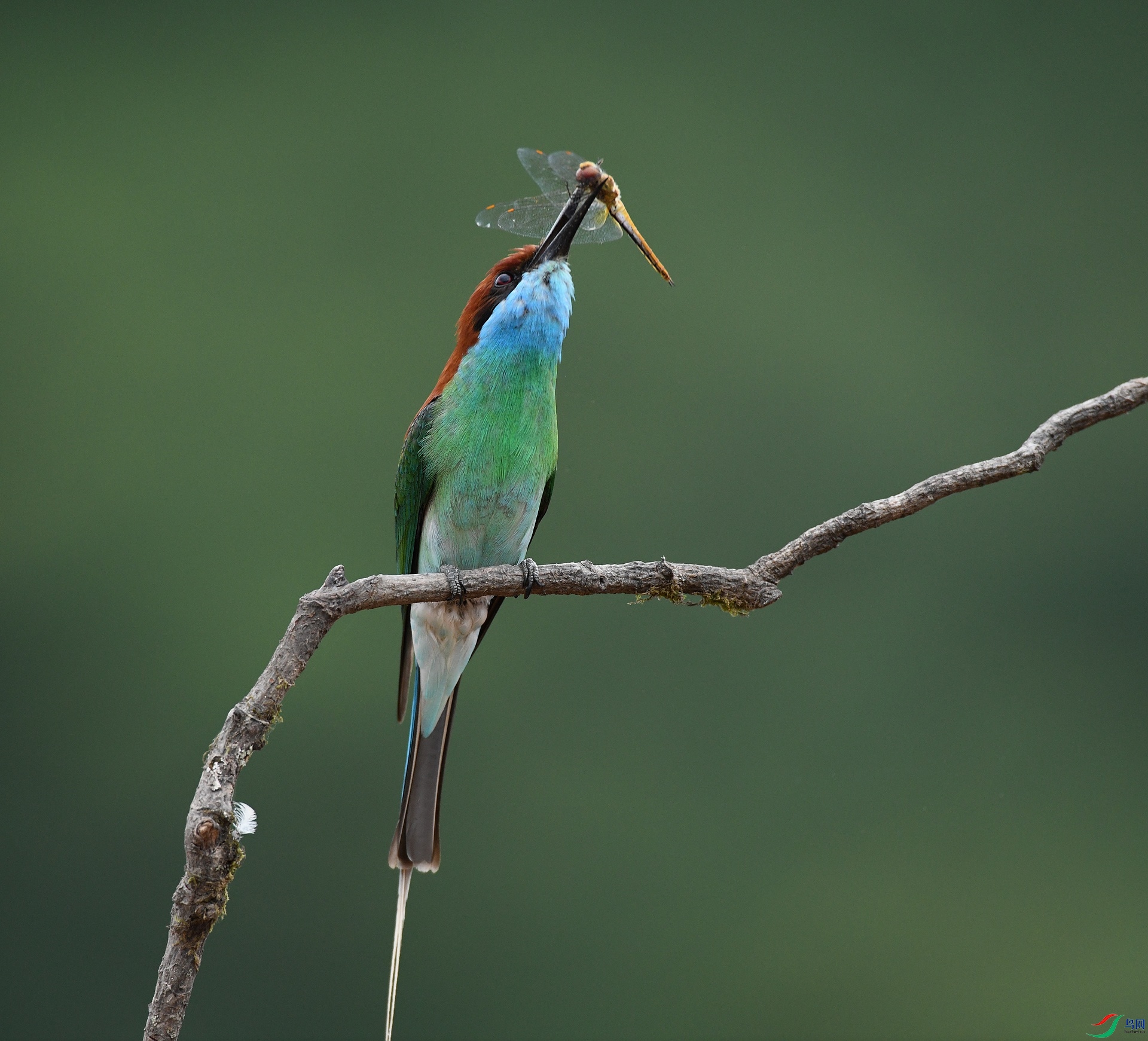 DSC_1854.jpg