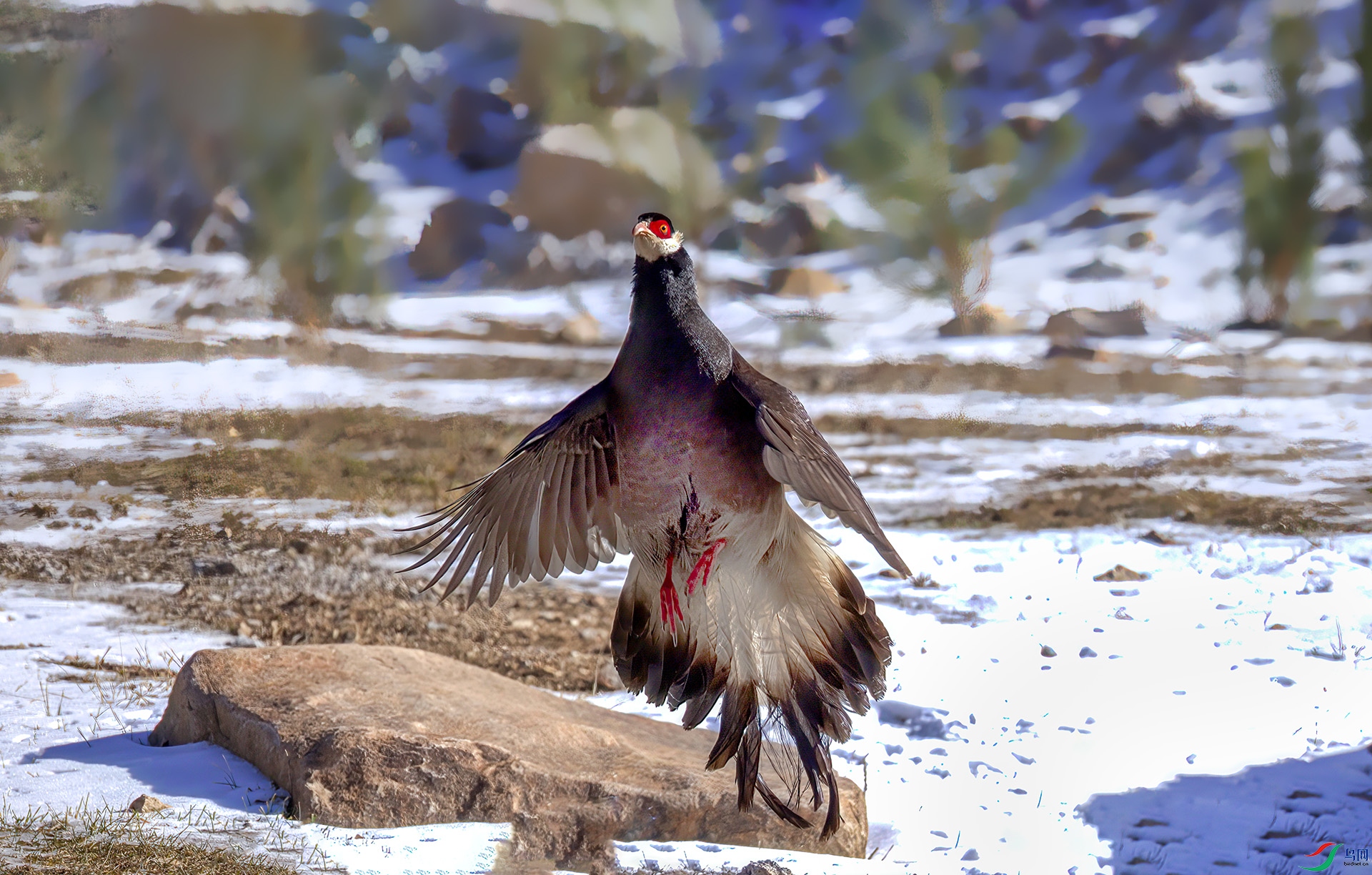 _07A0597-SharpenAI-motion ����----1  .jpg