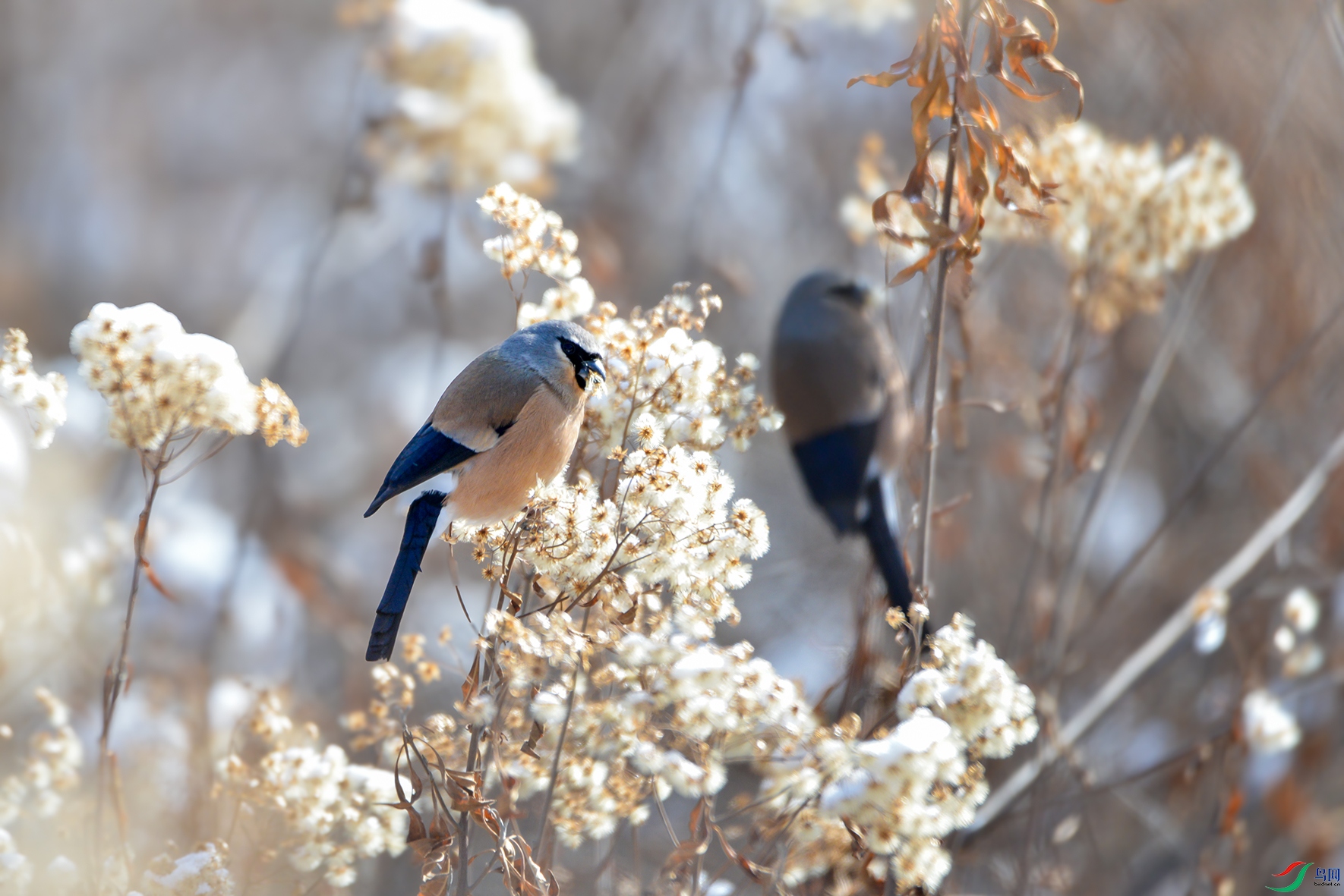 DSC_4077��ͷ��ȸ��.jpg