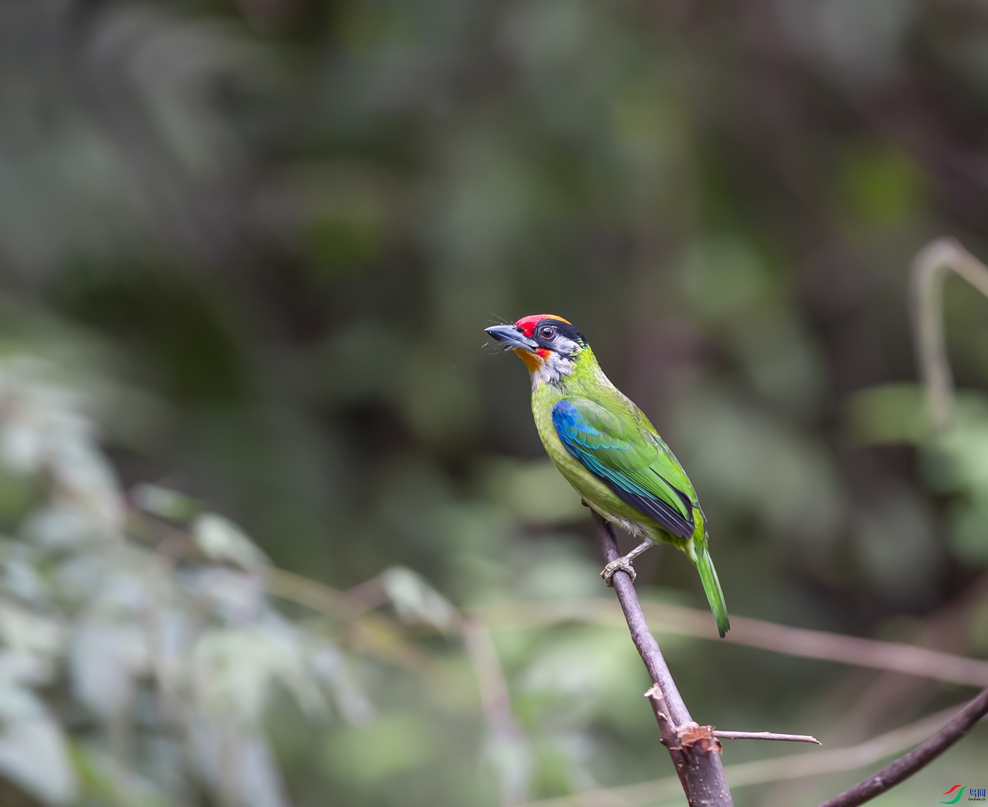 DSC_6176.jpg