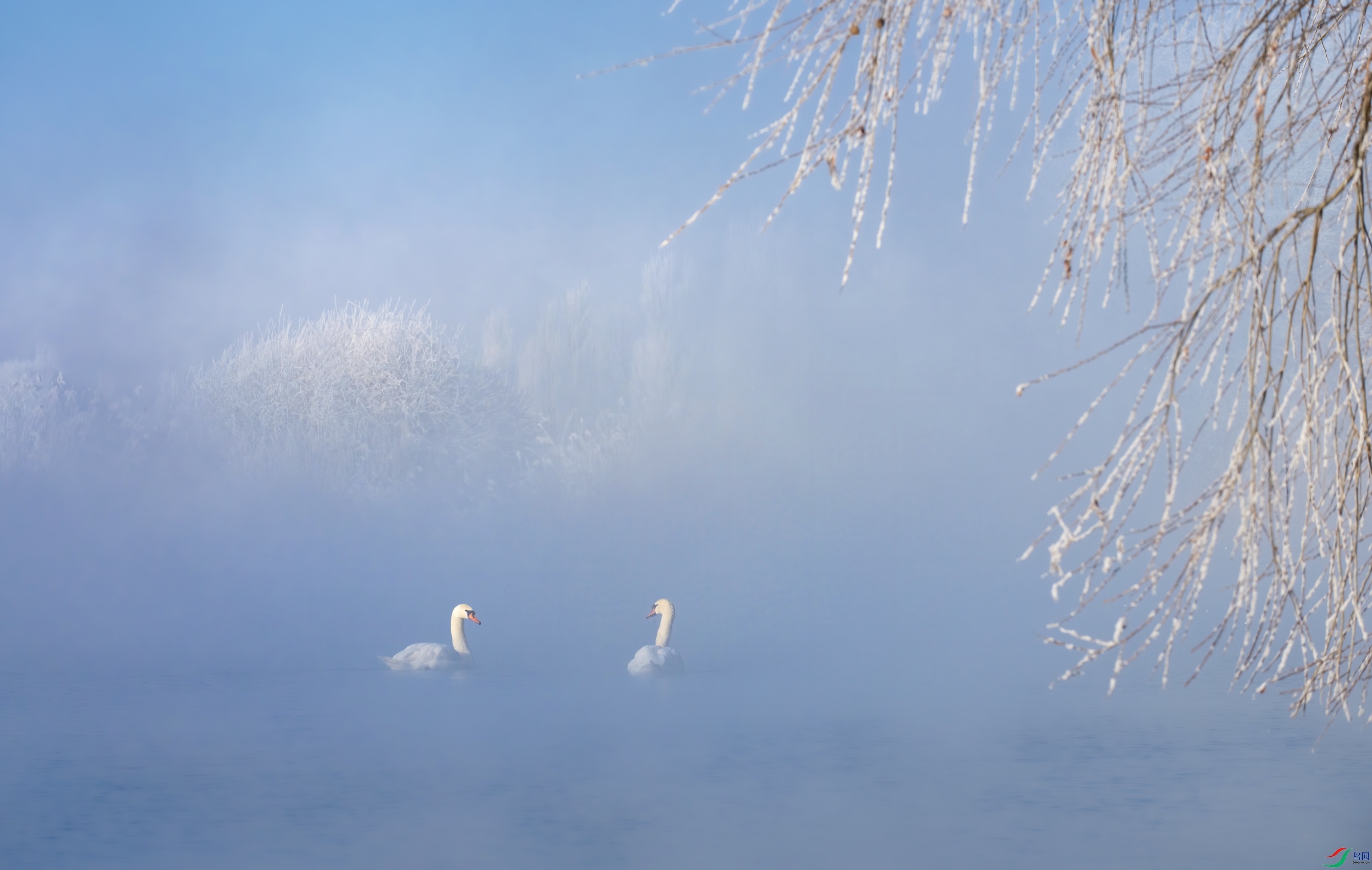 DSC_4111-21.jpg