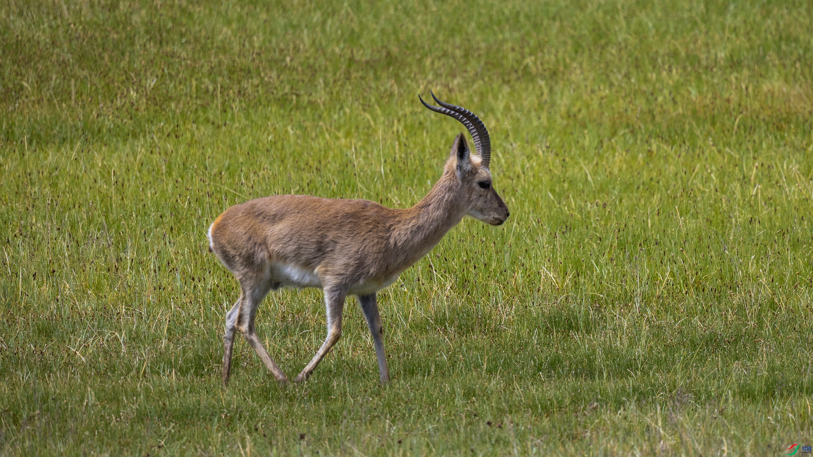 7X5A5719 ��444.jpg