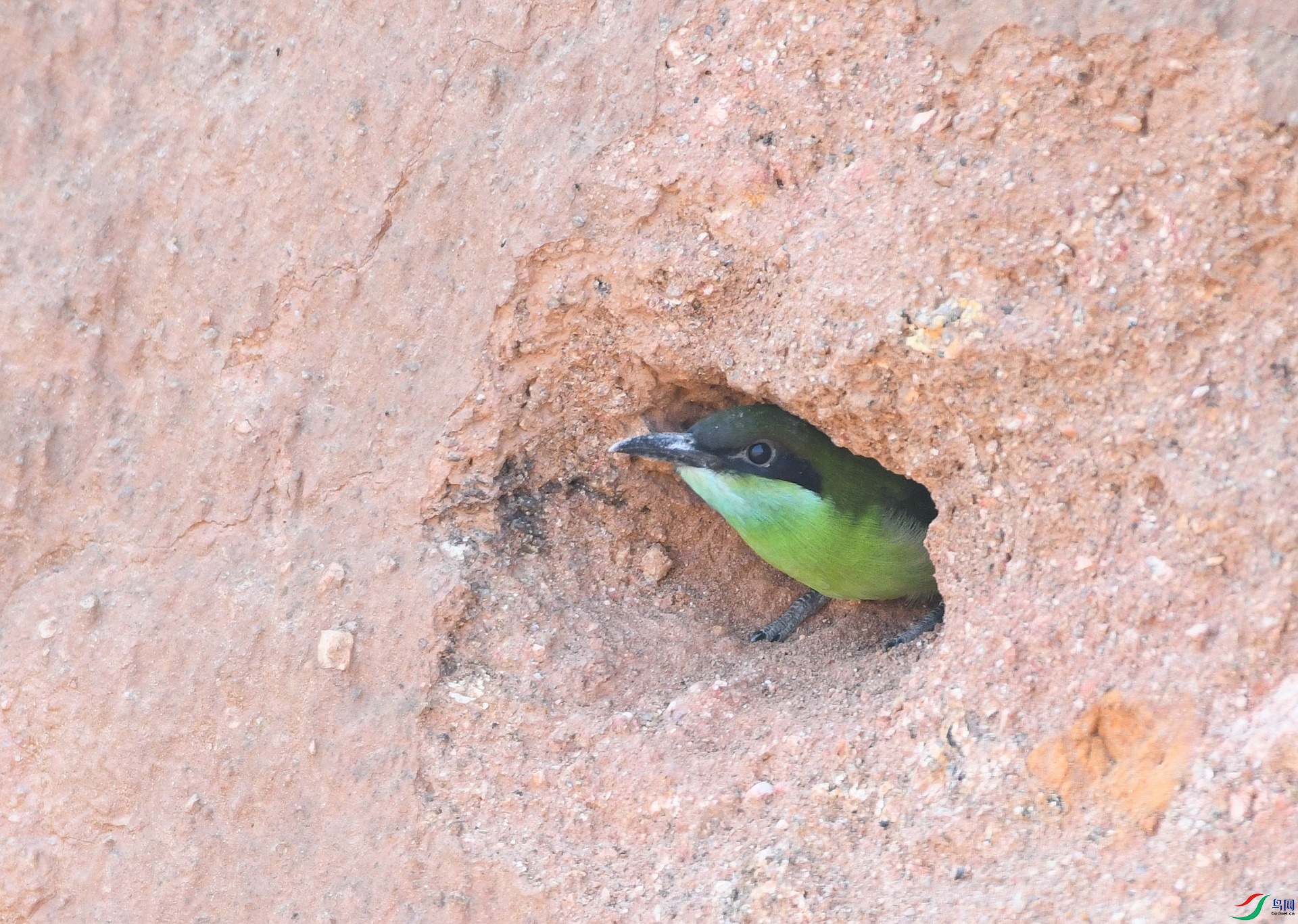 DSC_7668.jpg