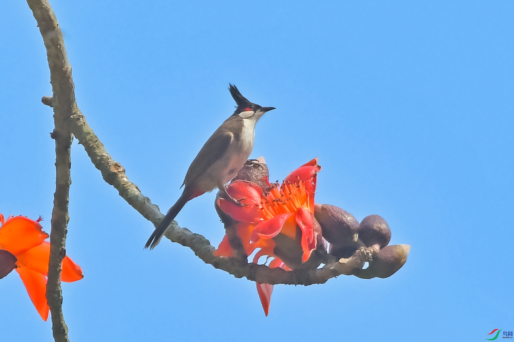 DSC_5462.JPG