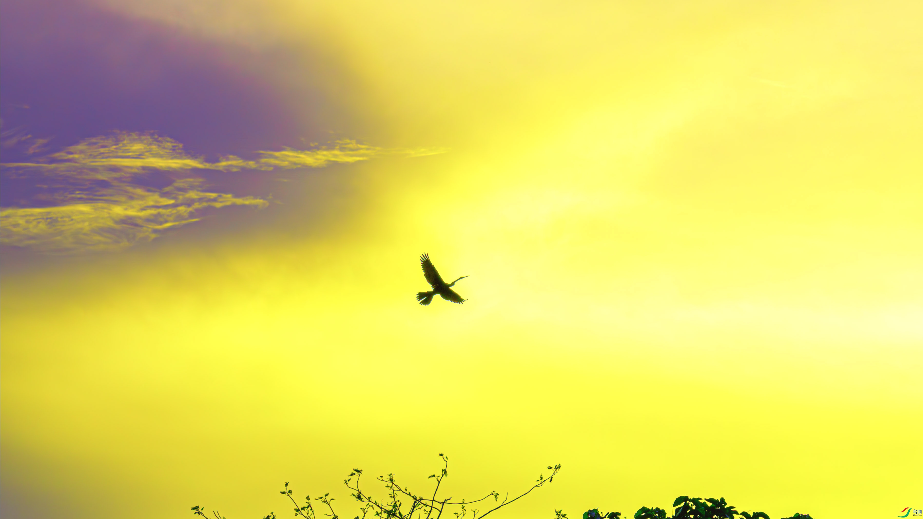 DSC_1942-����ǿ-NR ����1.jpg