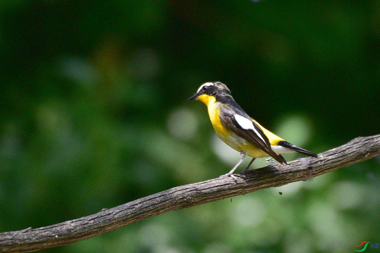 DSC_6035.JPG