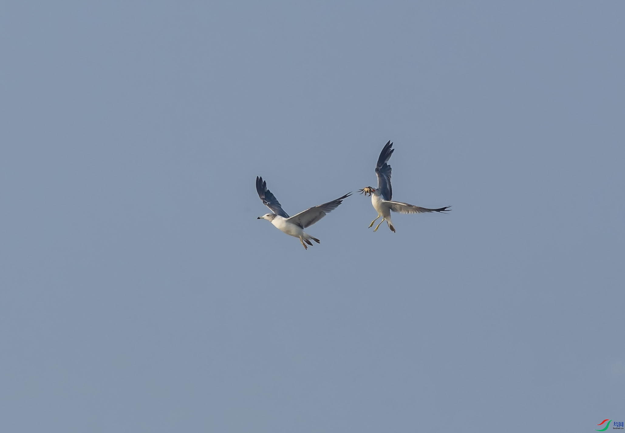 DSC_4010.jpg