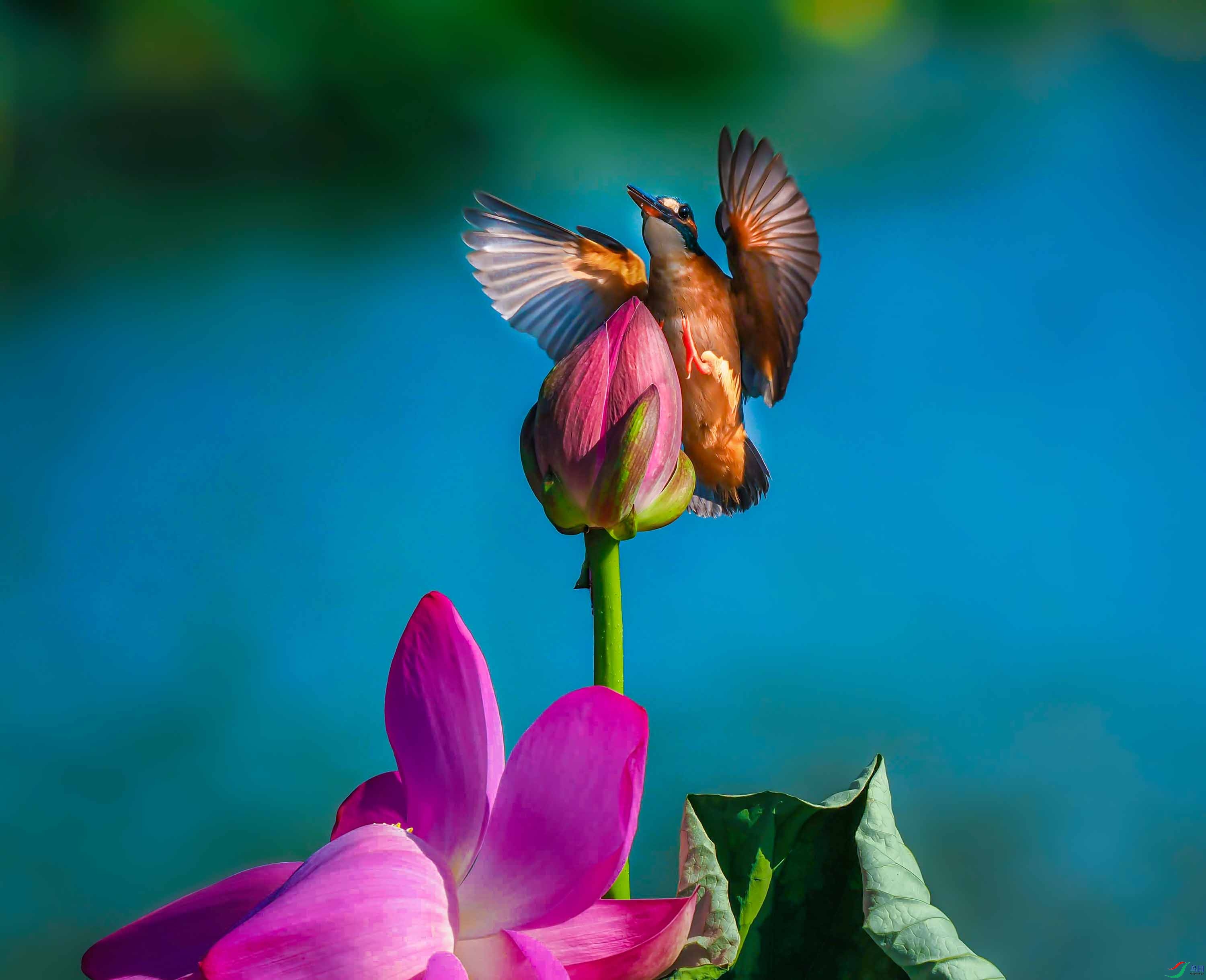 P7241408_���ٿ�ͼ.jpg