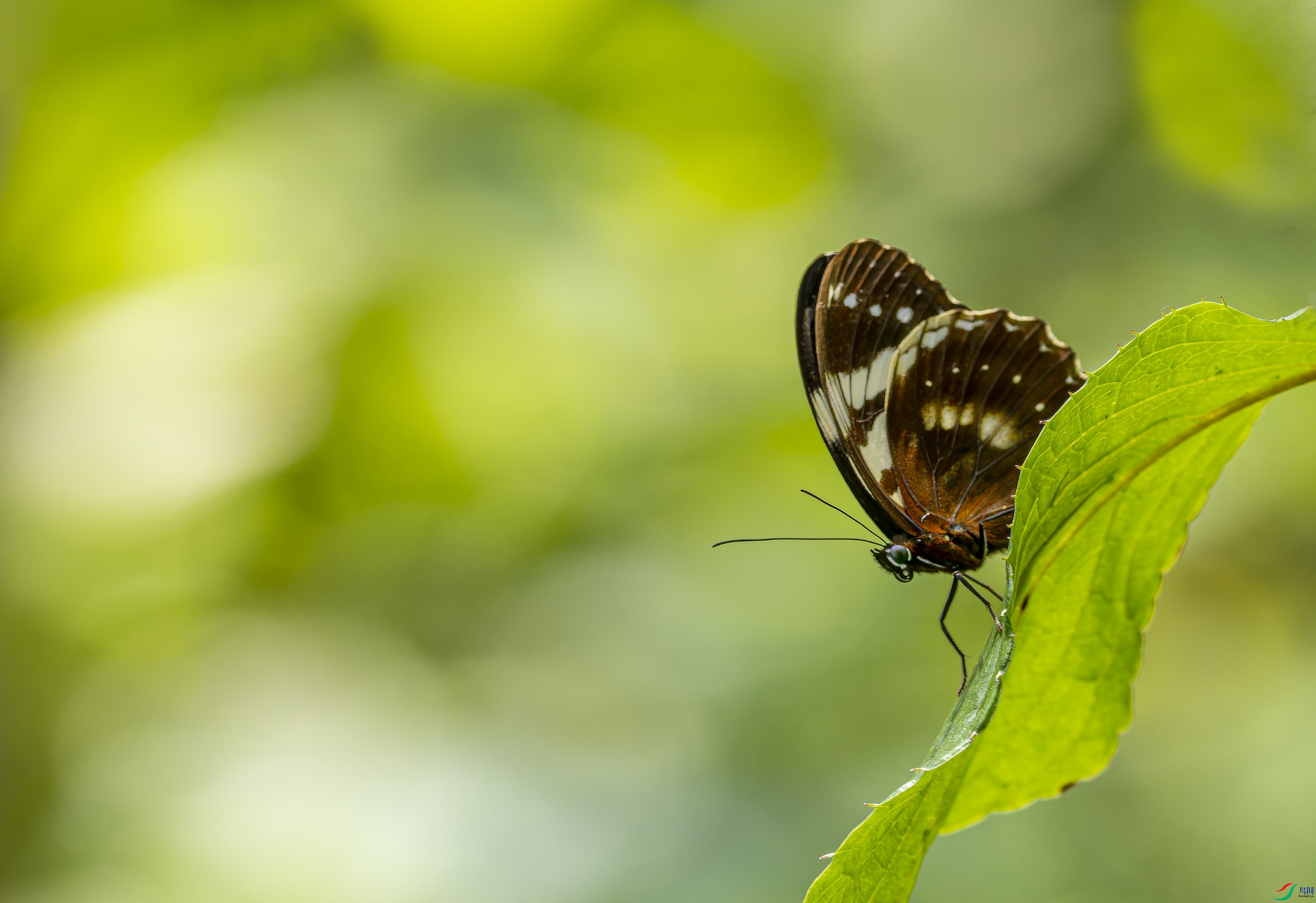 �װ��۵� (157)01.jpg