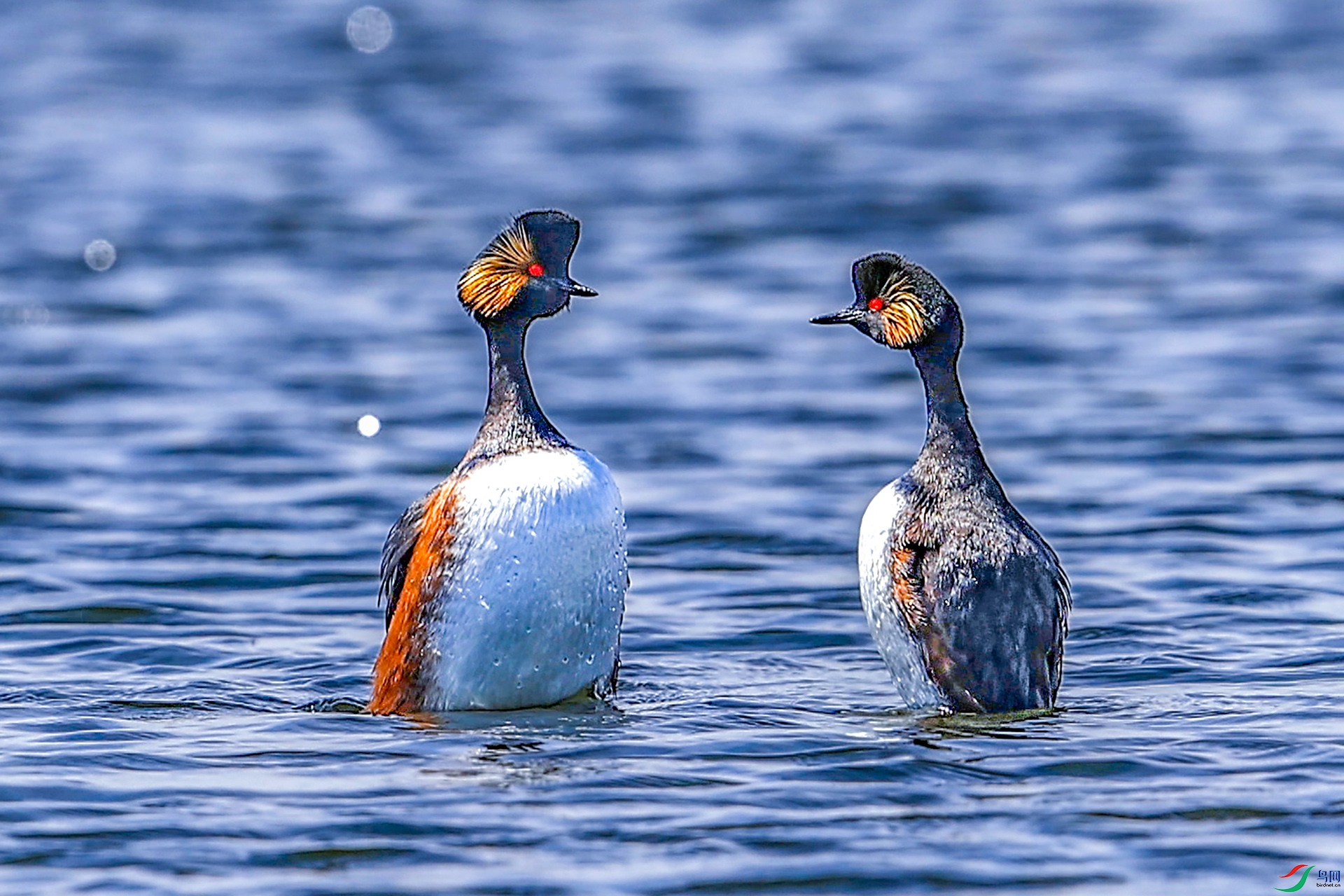 227A8009 ����1.jpg