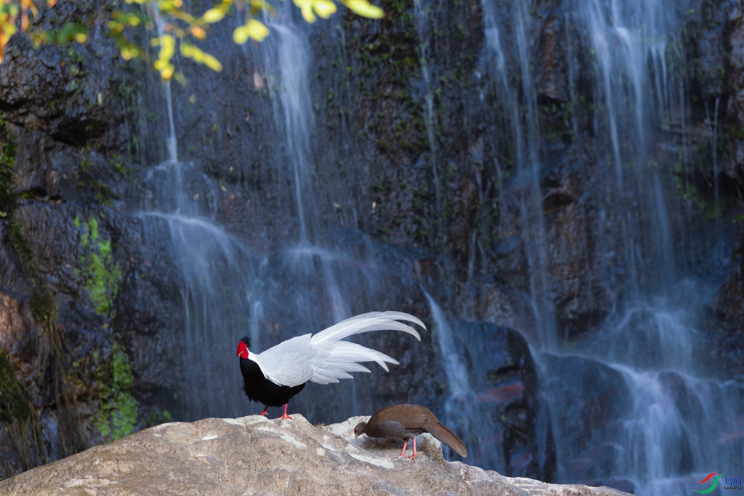 4DSC_0773_DxOa.jpg