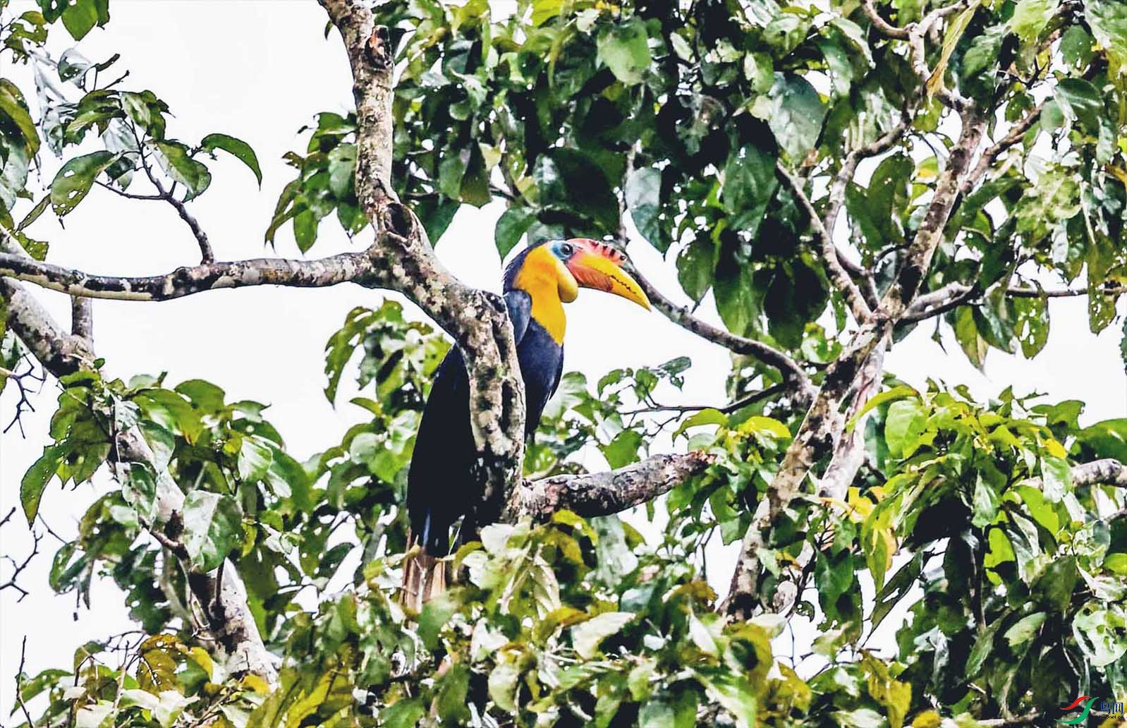 �������ǽ�����Ϭ���ټ� ����.jpg