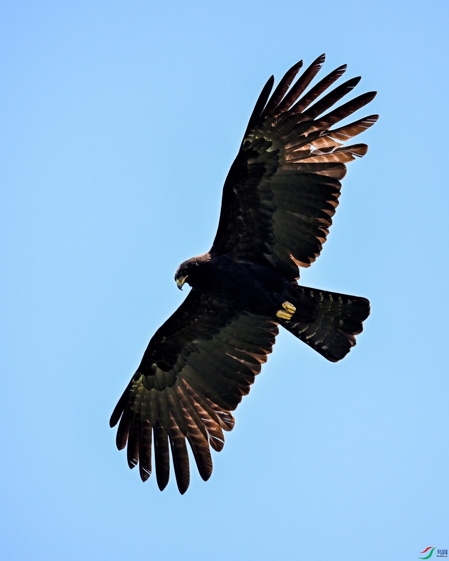 DSC_5115.JPG