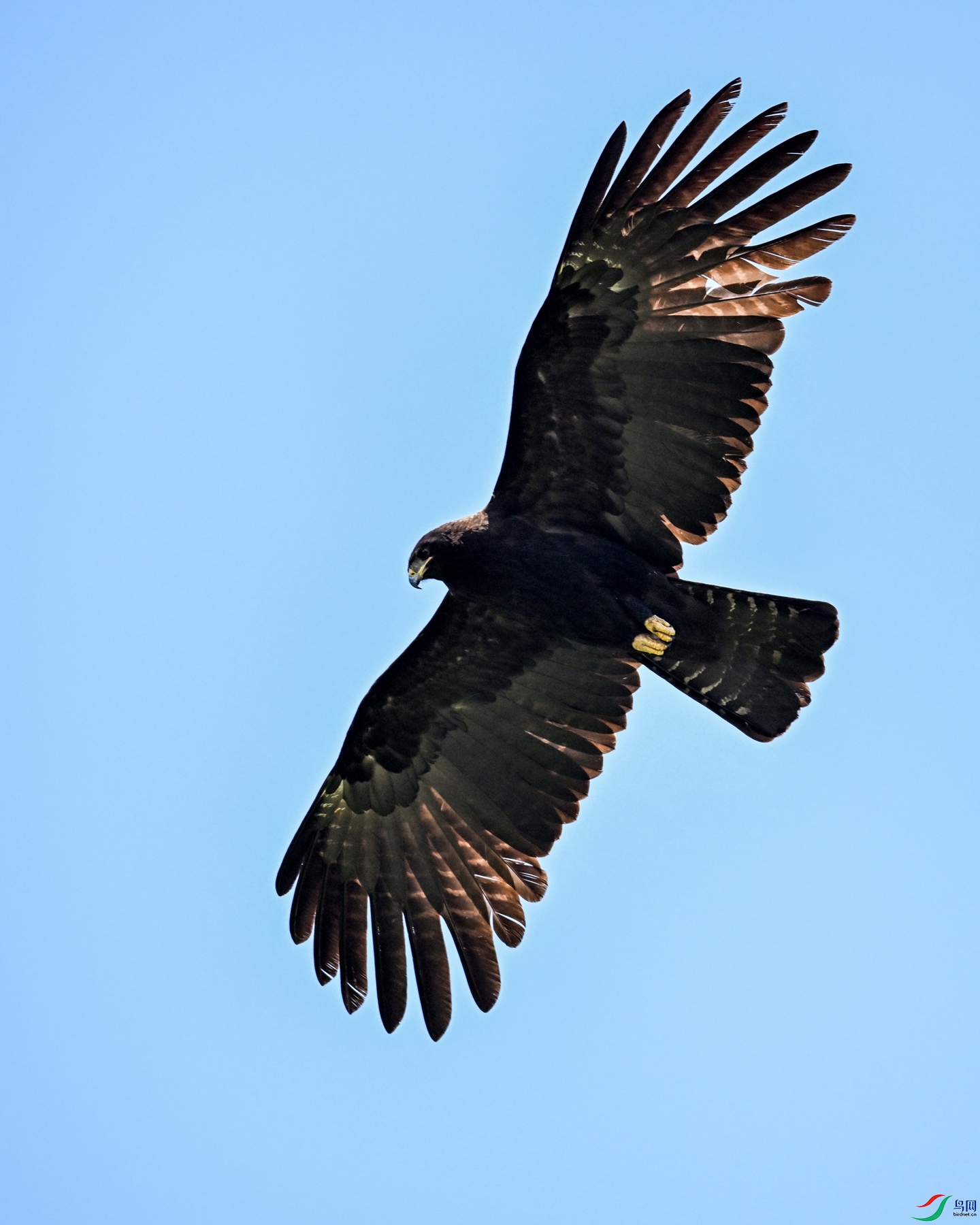 DSC_5116.JPG