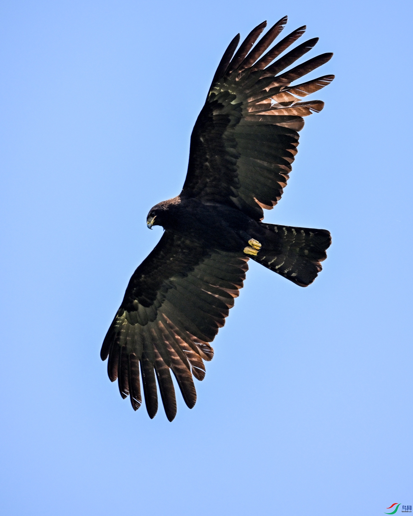 DSC_5118.JPG