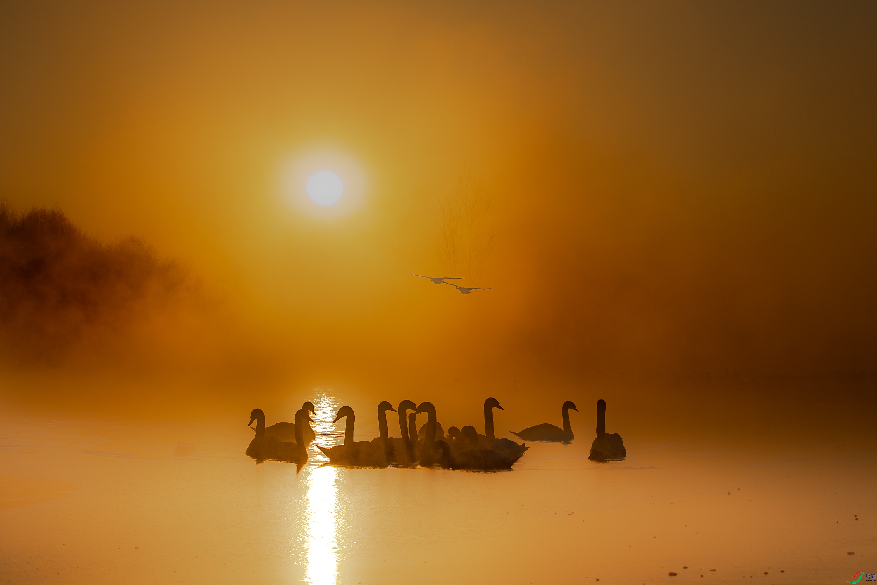 AY8I0910-����ǿ-NR ����.jpg