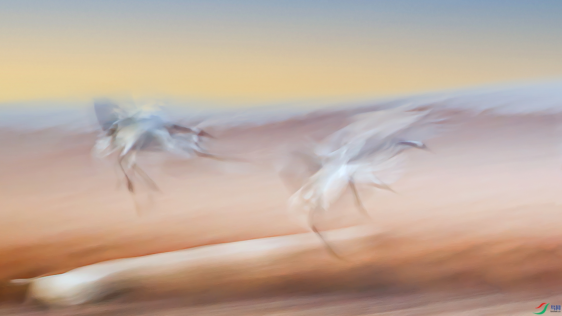 AS7I3332-D1-----1 .jpg