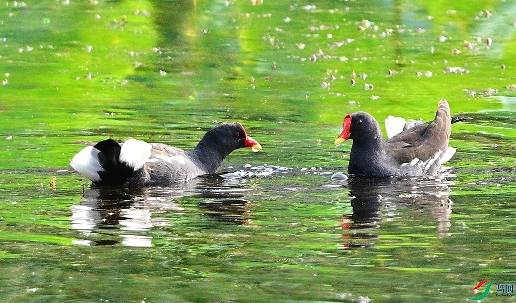 DSC_3729.JPG