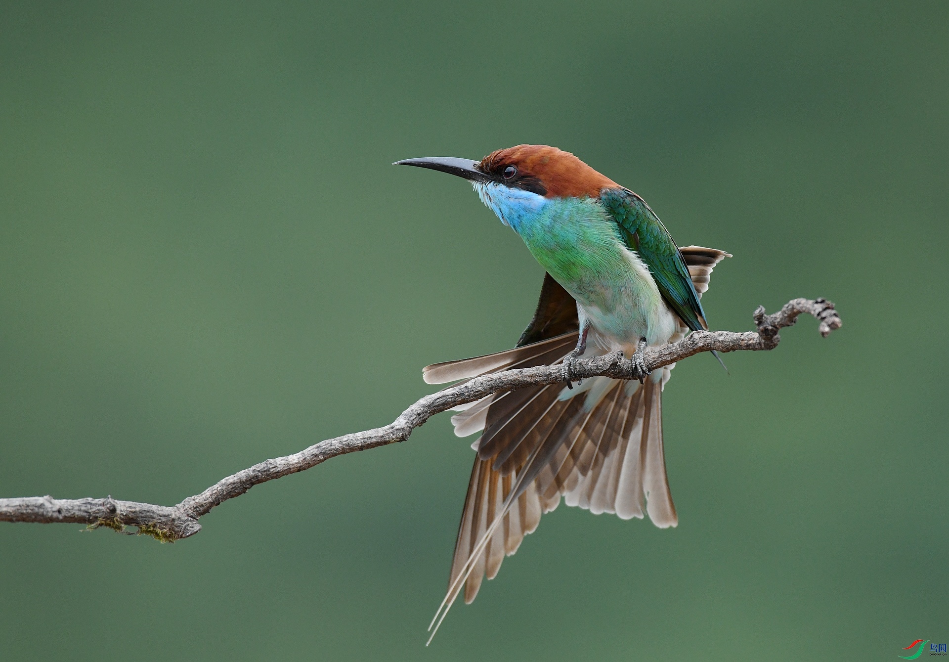 DSC_1469.jpg