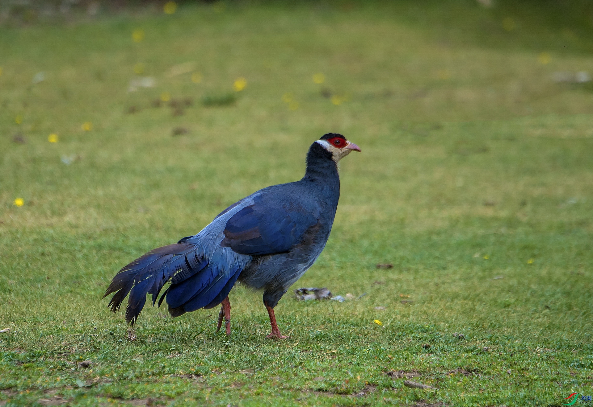 _DSC3805vv.jpg