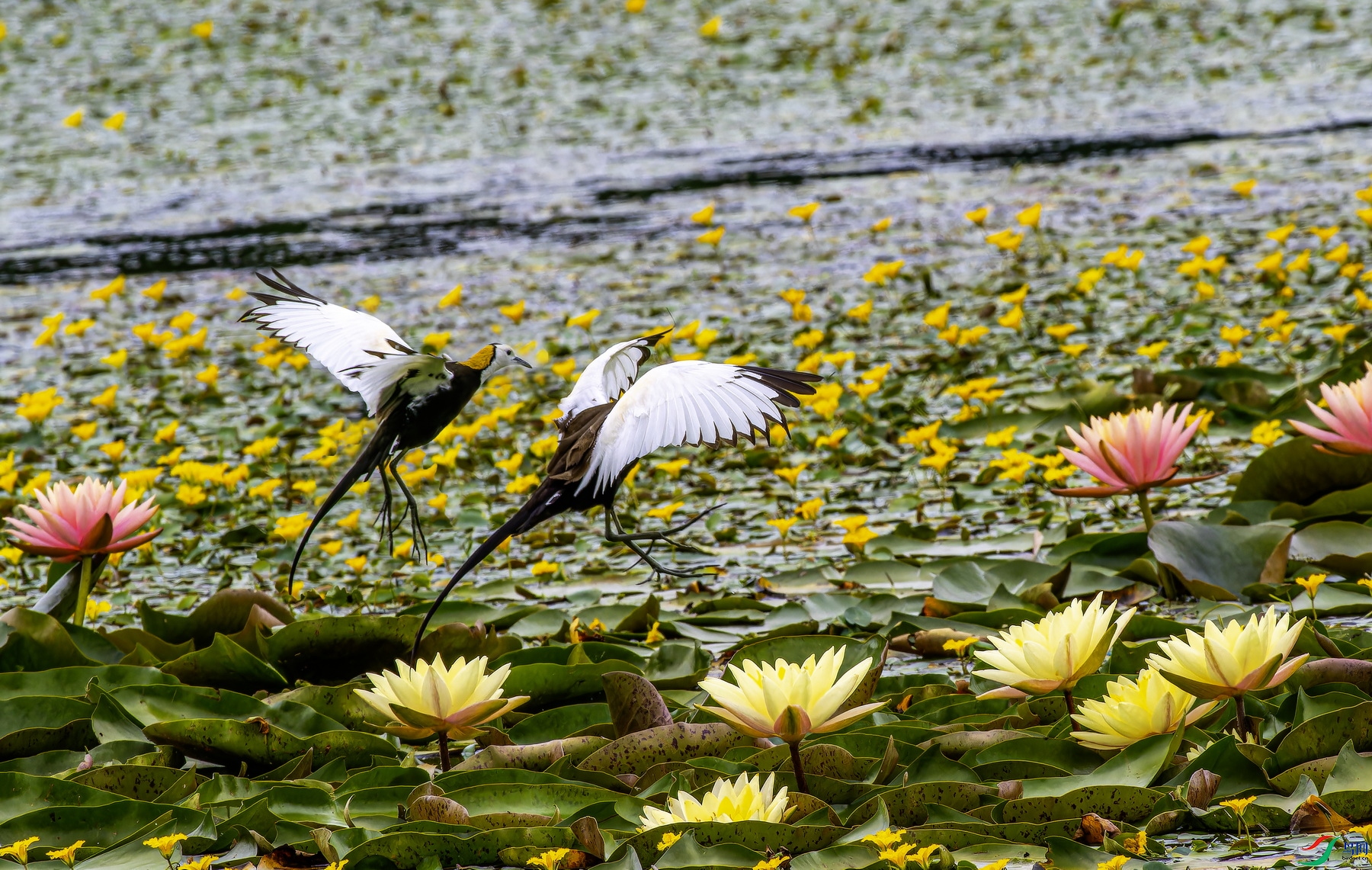 ˮ��-4 (6)-6.jpg