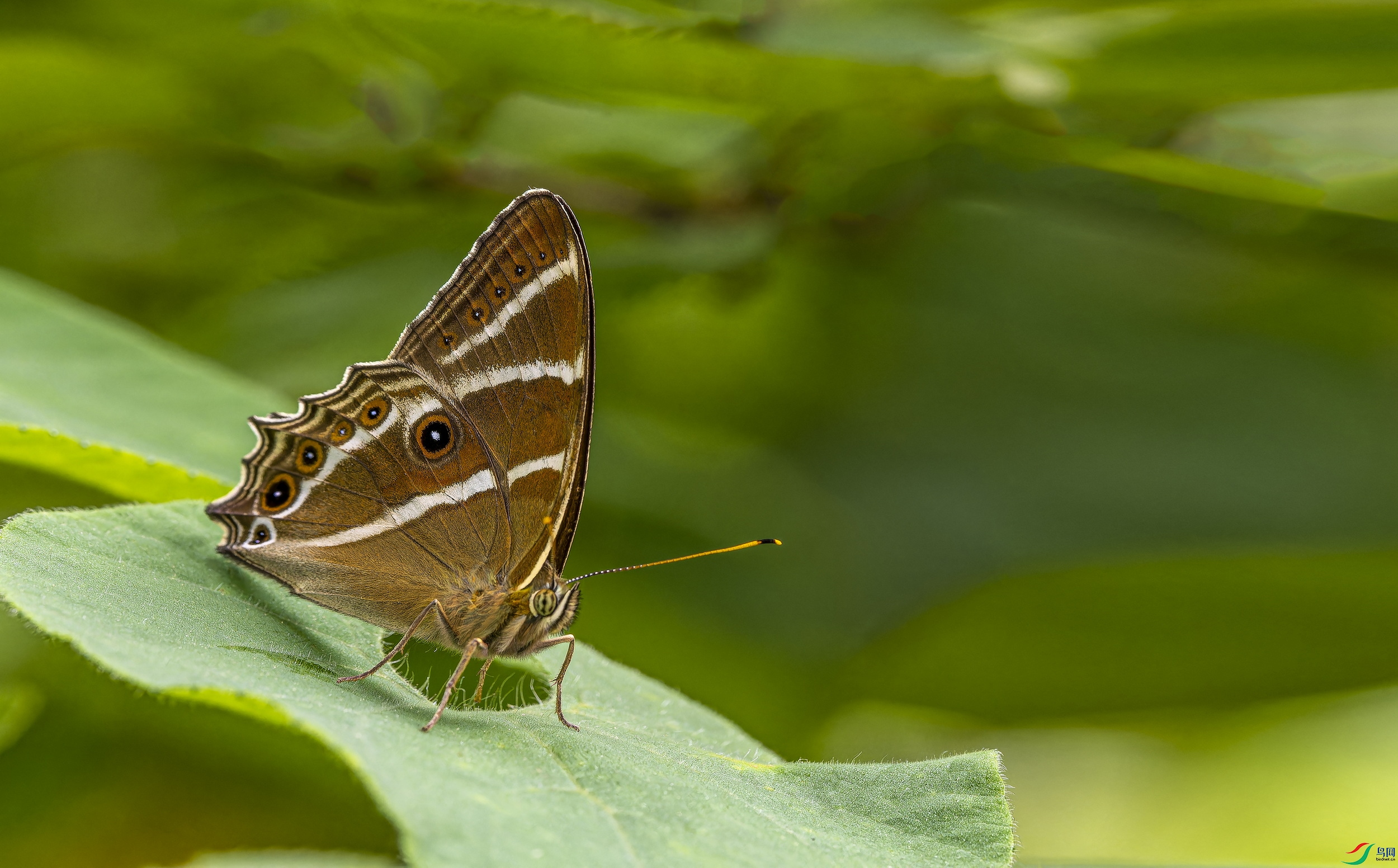 �������۵� (182)-01.jpg