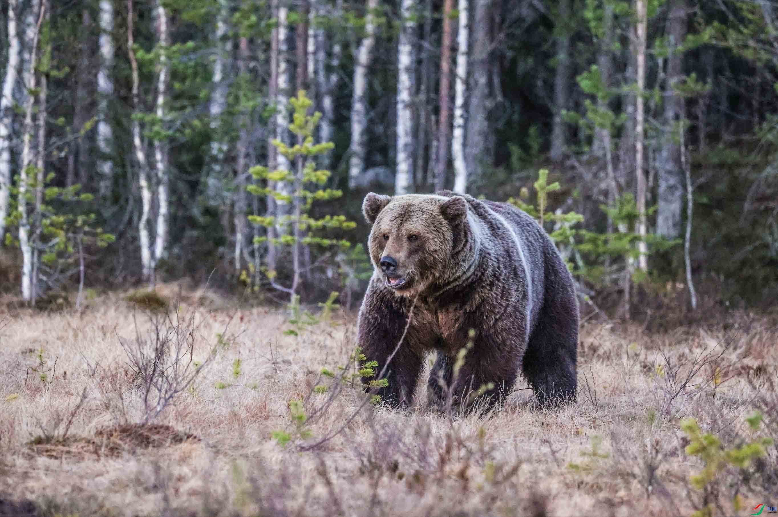 ������һ���400���� ����.jpg