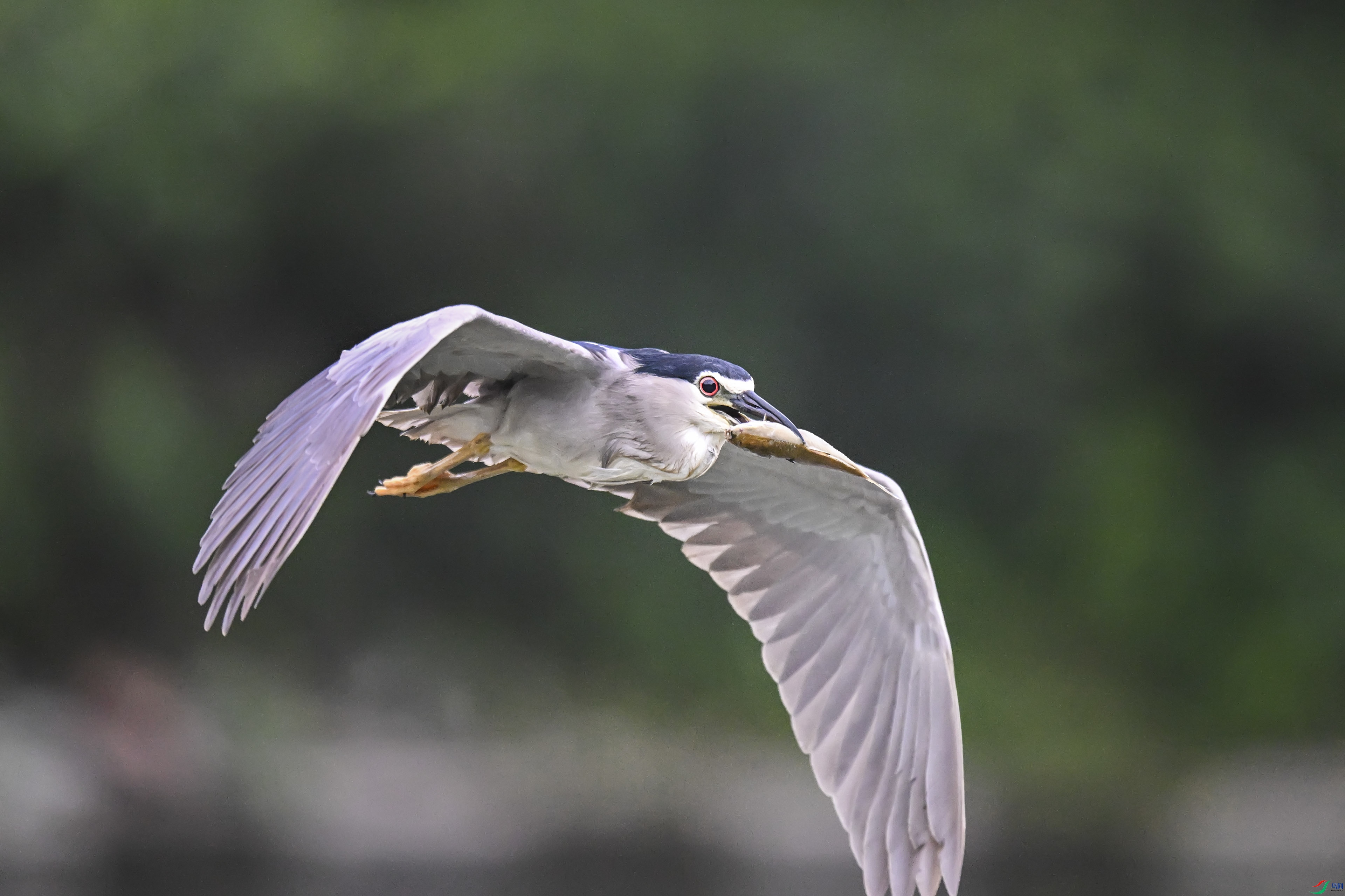 DSC_5683.jpg