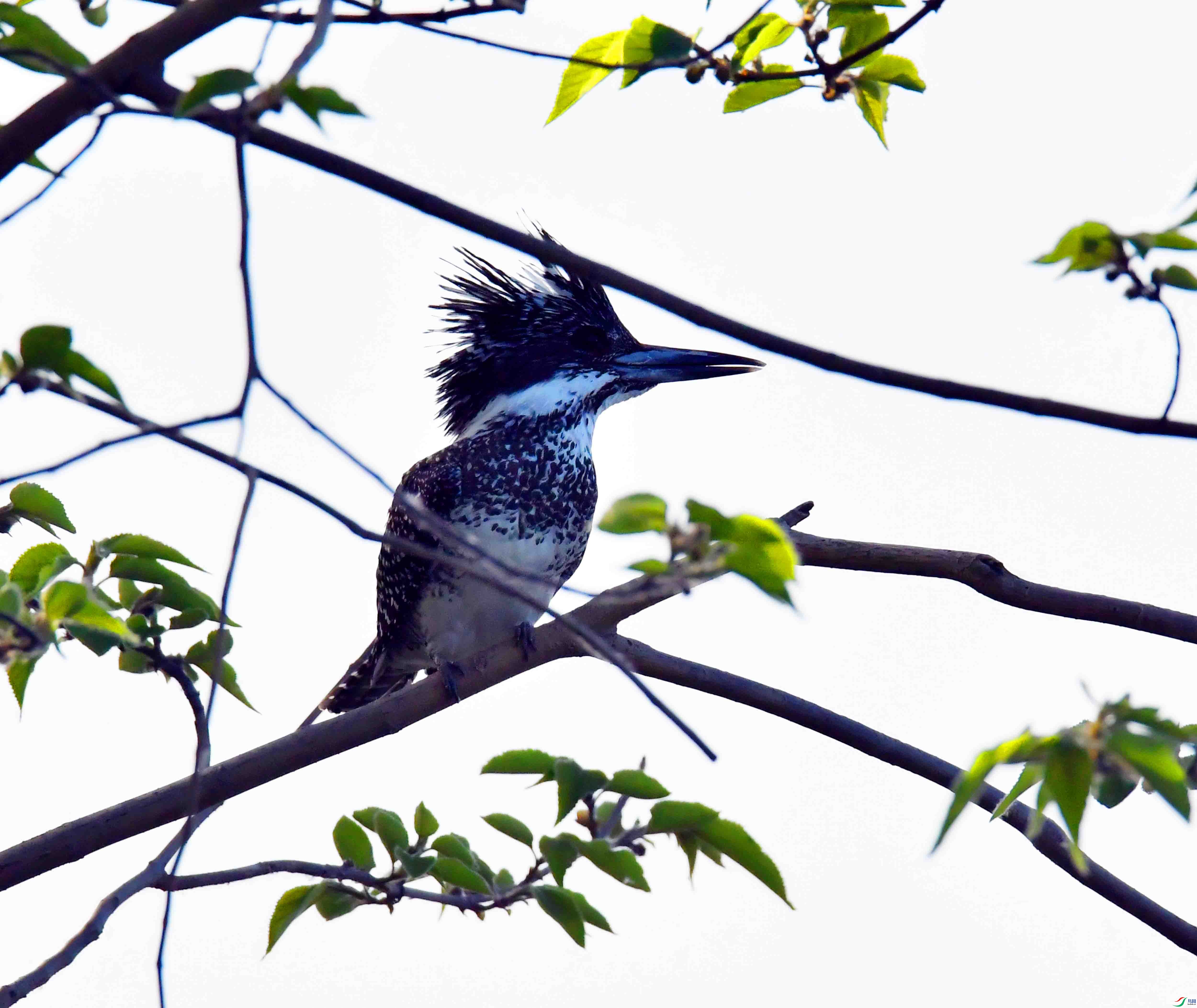 DSC_5754.JPG